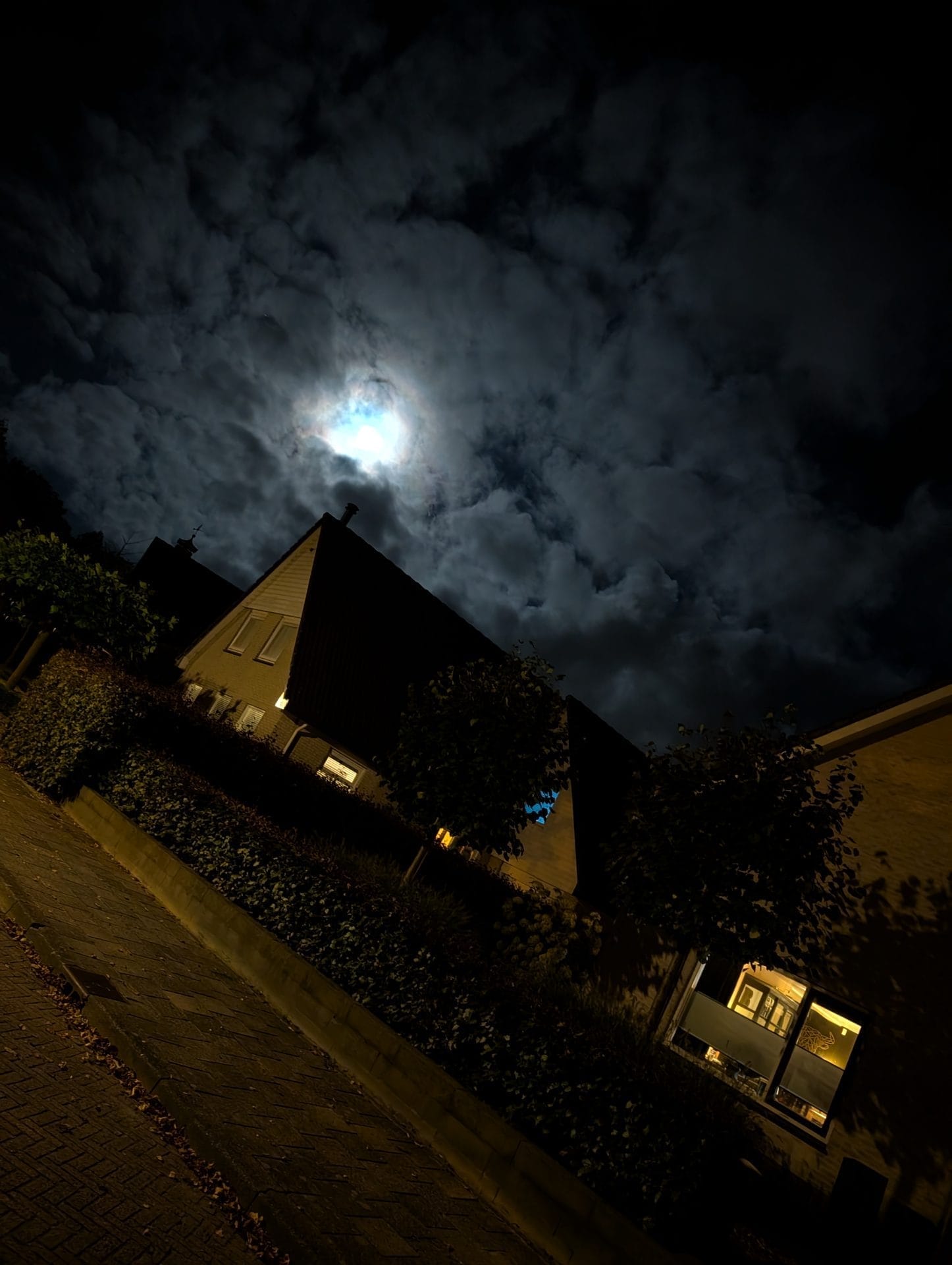 Google Pixel 9 Pro XL review