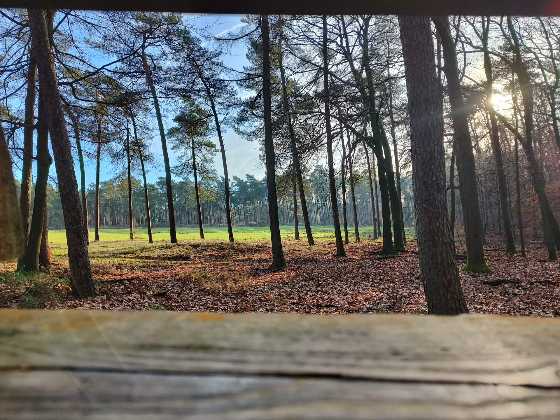 Een relaxed weekend in Landal Miggelenberg