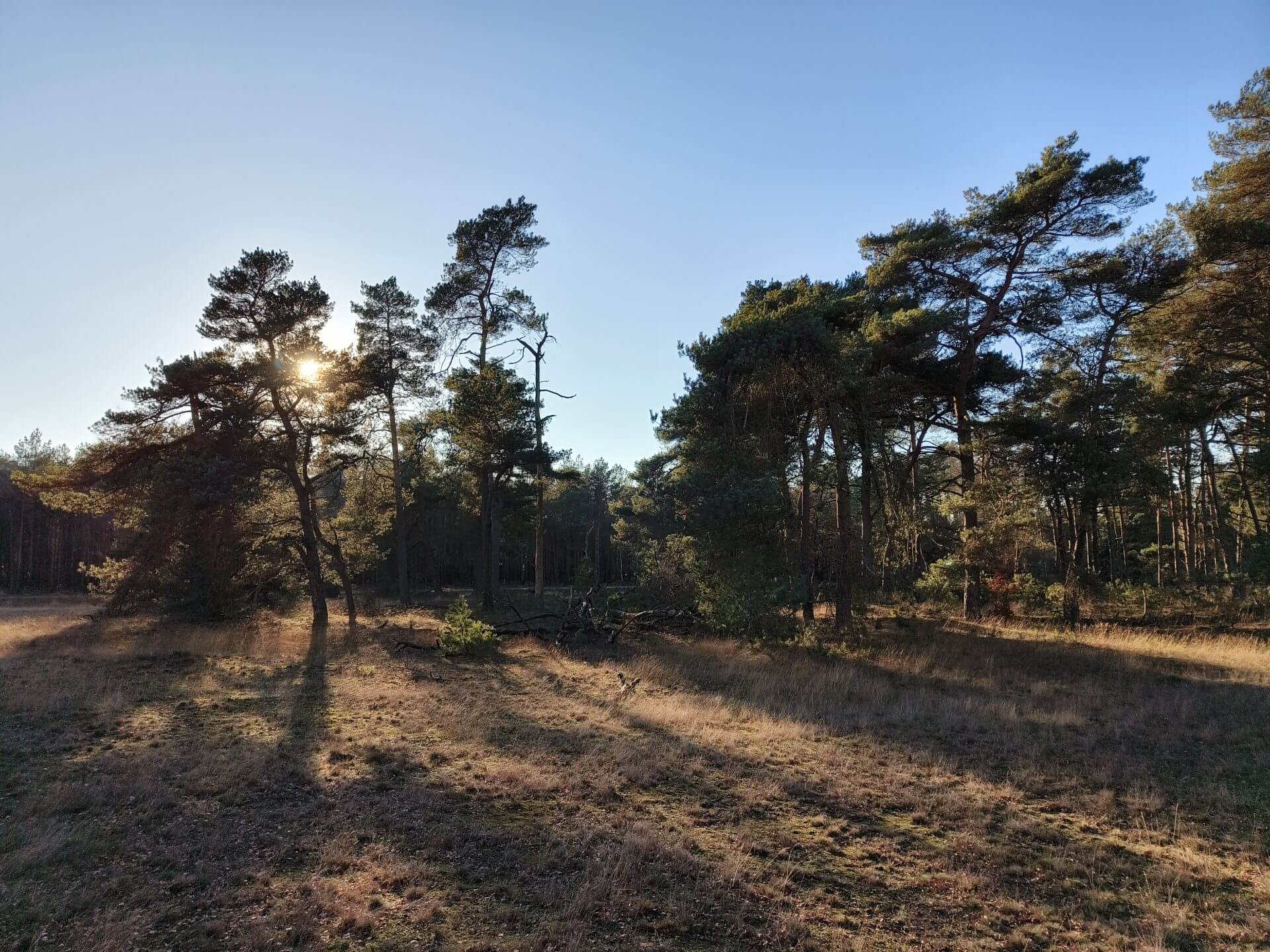 Een relaxed weekend in Landal Miggelenberg