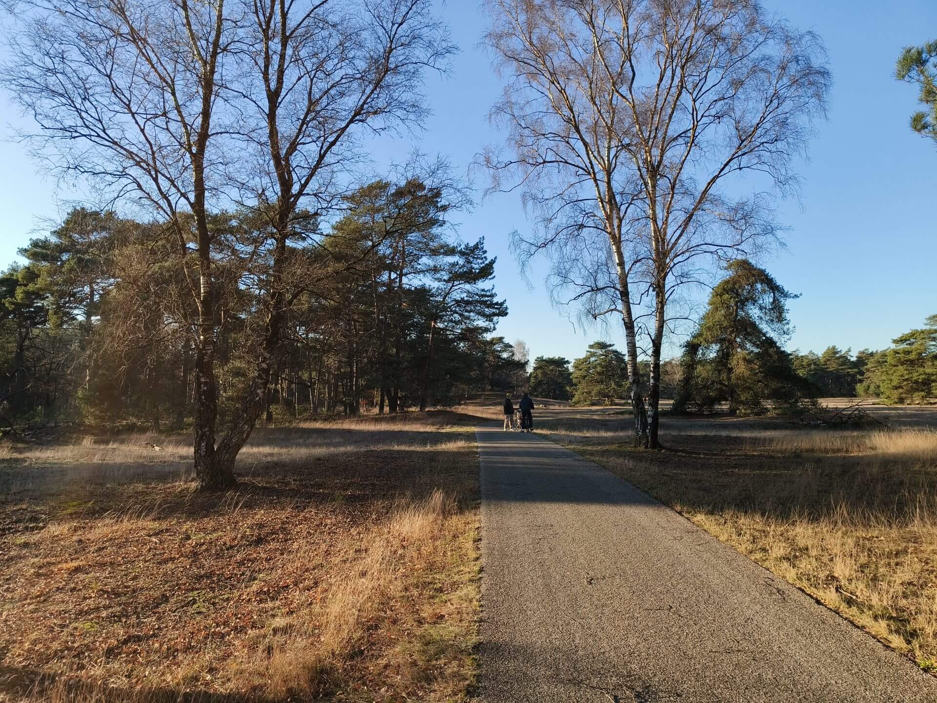 Een relaxed weekend in Landal Miggelenberg