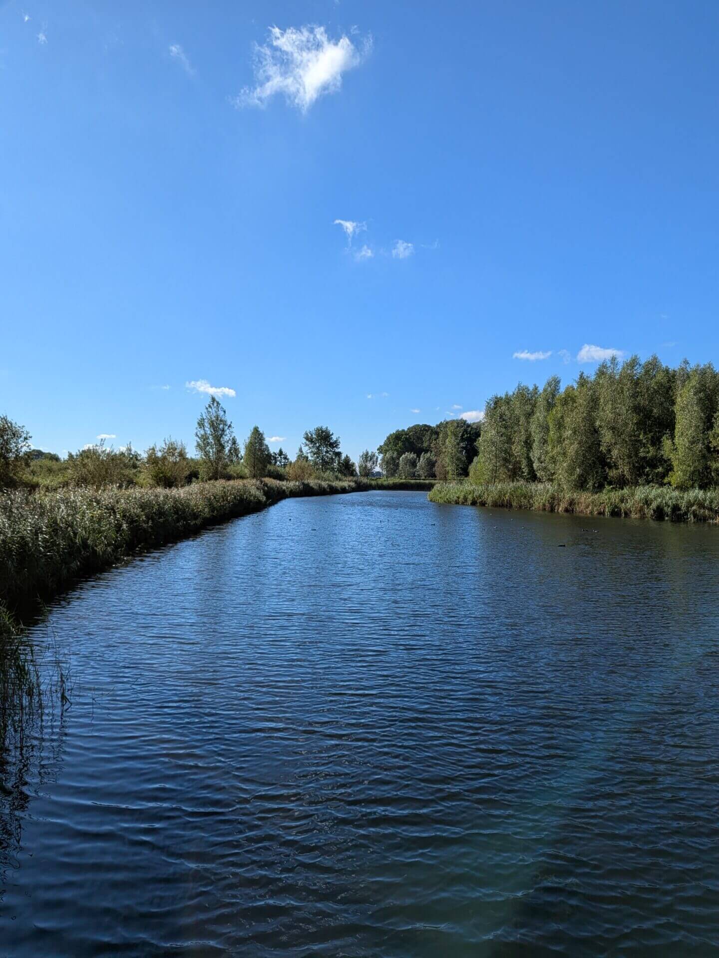 Google Pixel 9 Pro Fold