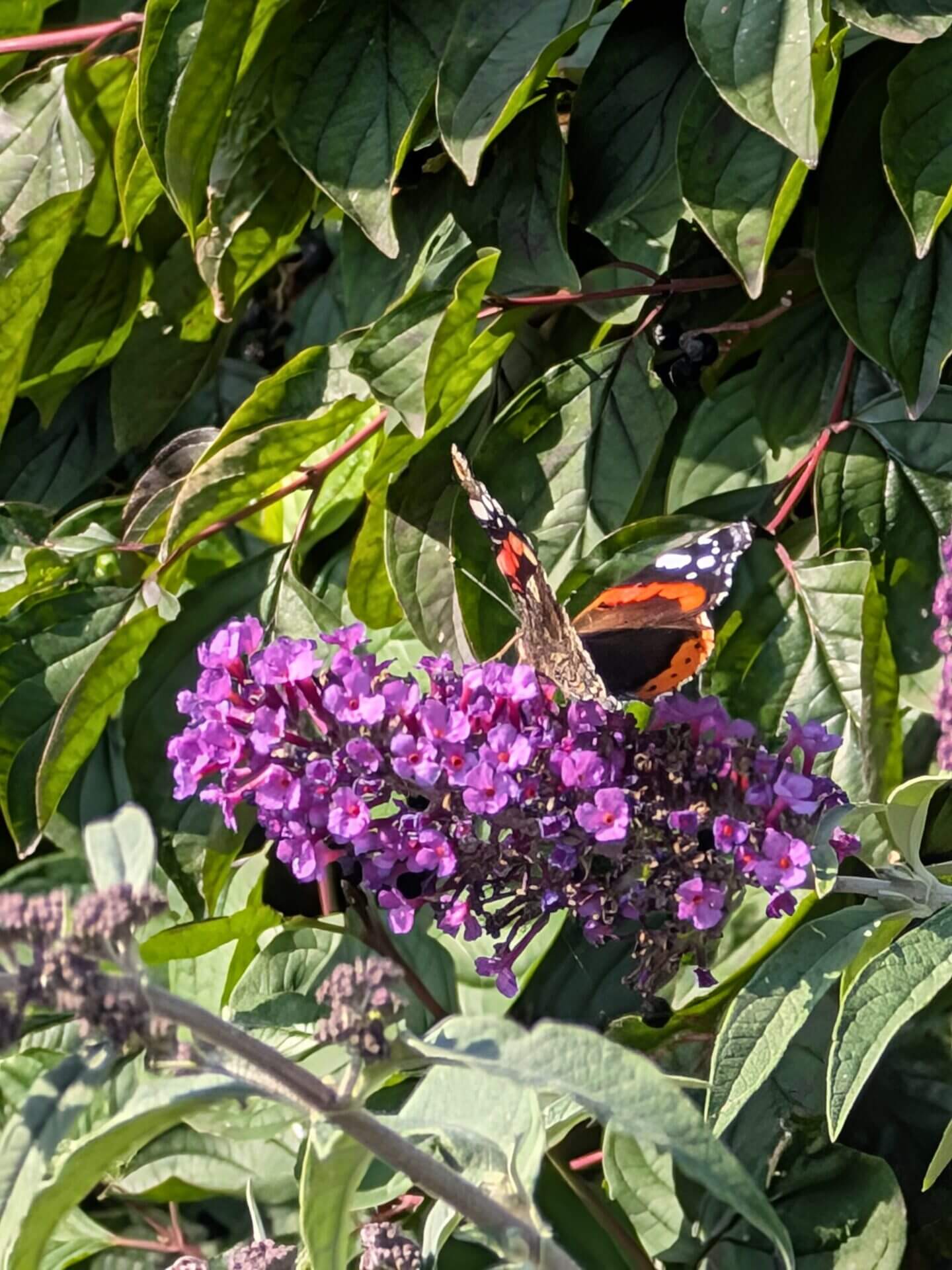 Google Pixel 9 Pro Fold