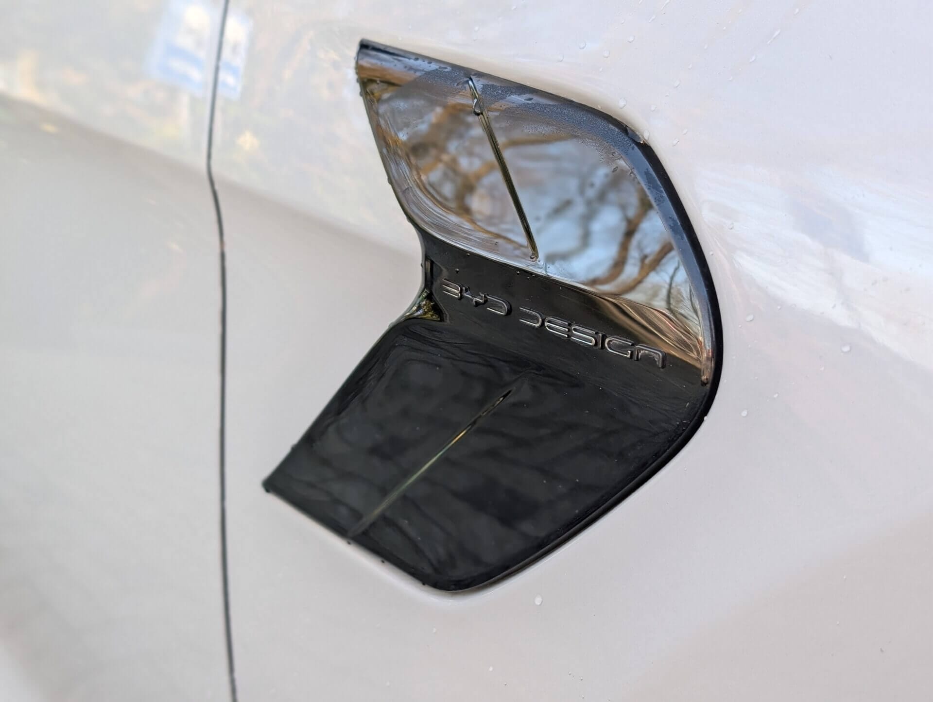 byd mixed grill 18 1