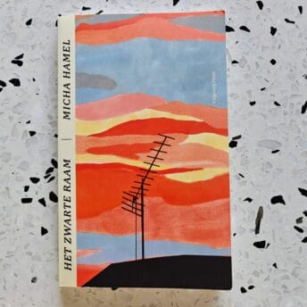 Micha Hamel - Het zwarte raam