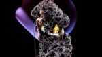 Bjork Cornucopia Concert Film release
