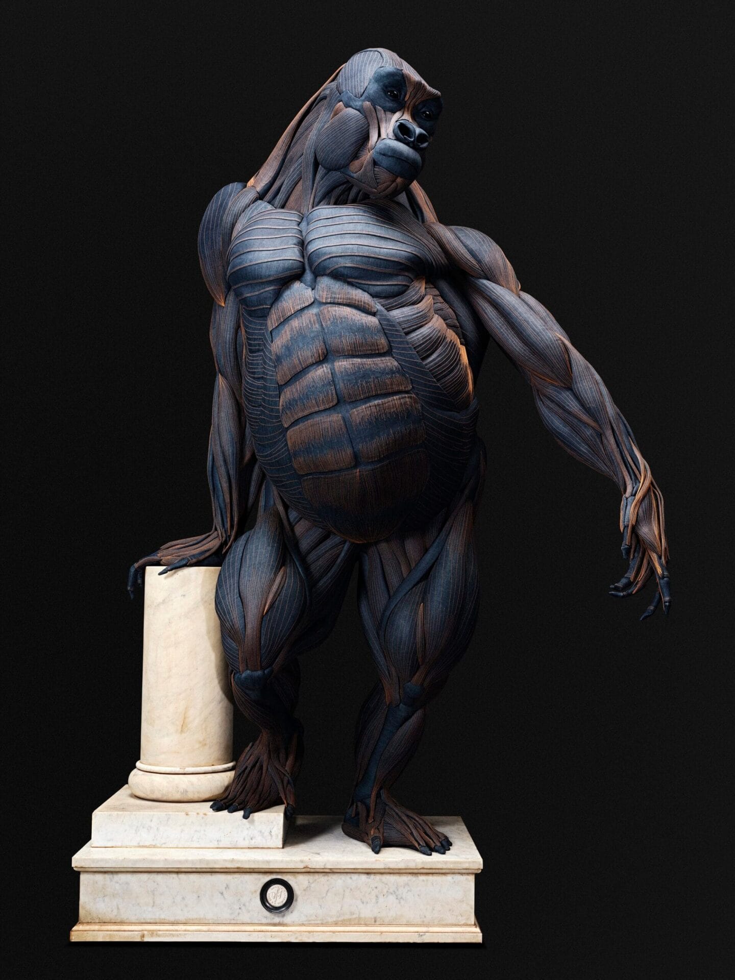 Een anatomisch model van een gorilla van denim in een klassieke pose, leunend op een marmeren zuil
