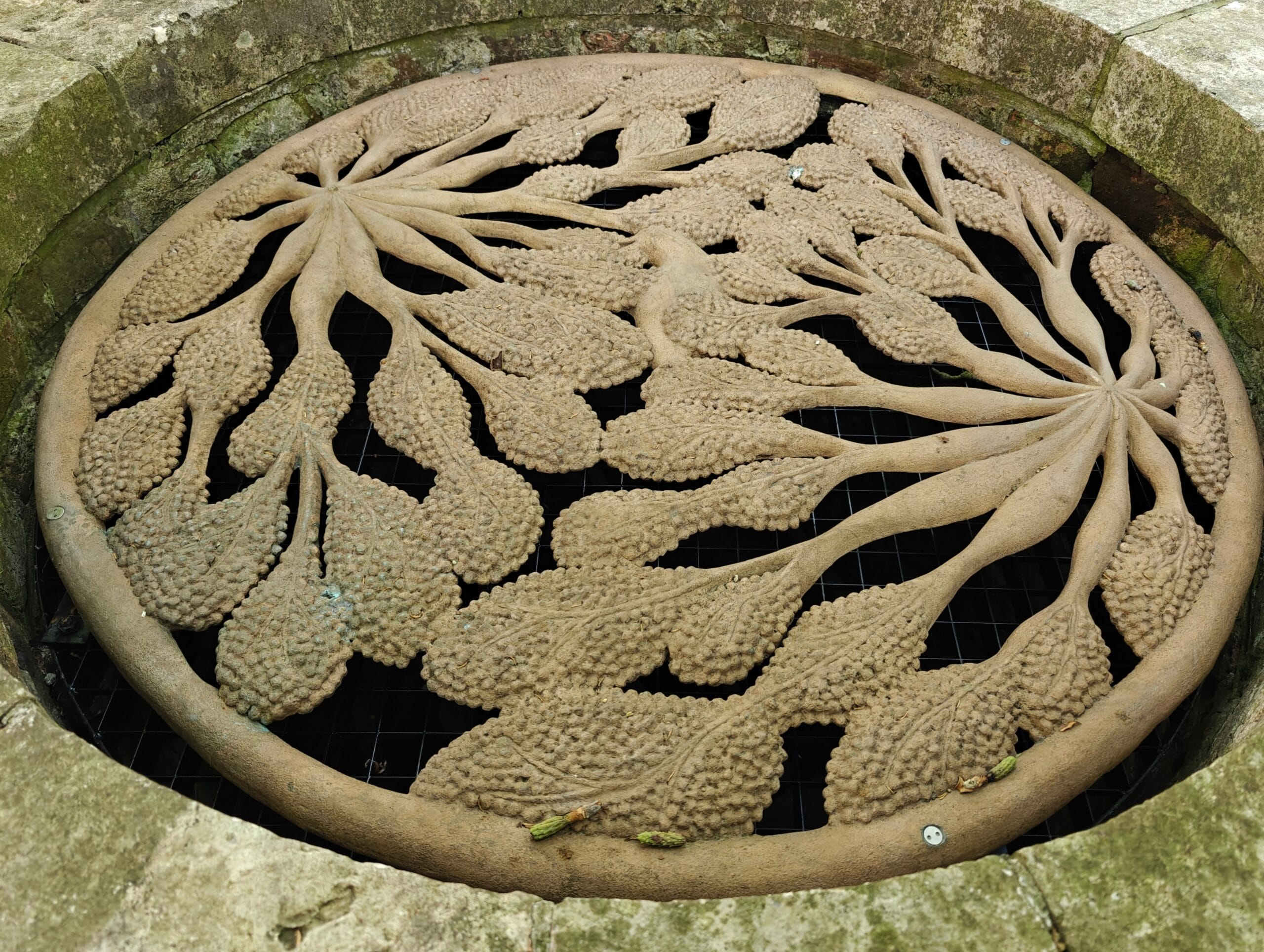 Clara Spilliart - Listen Well