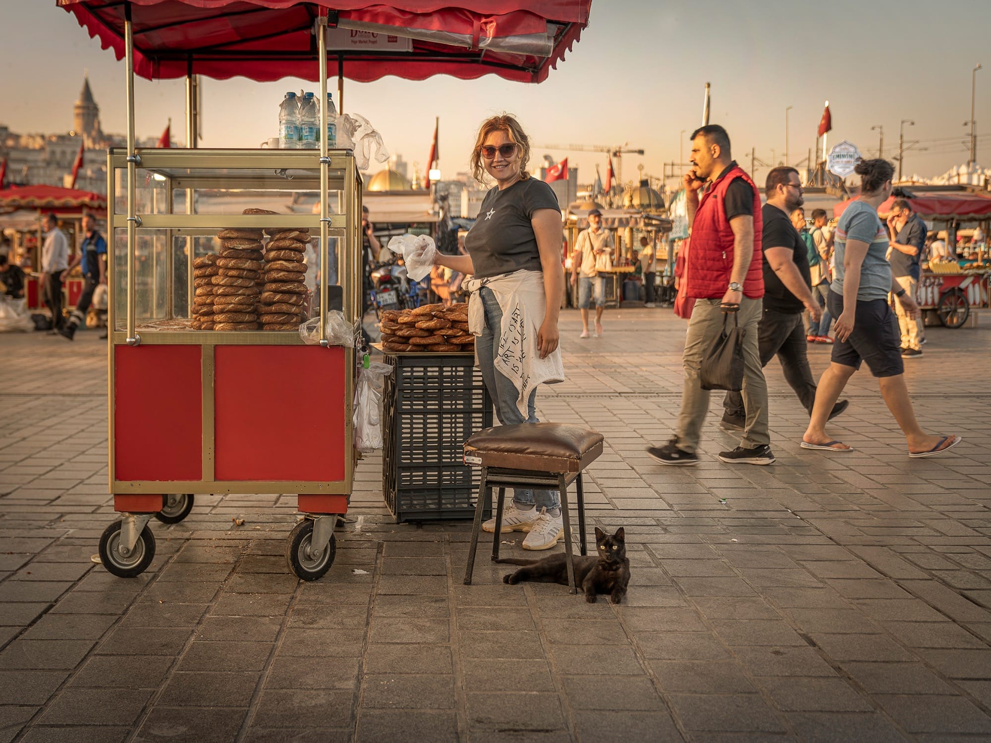 City Cats of Istanbul