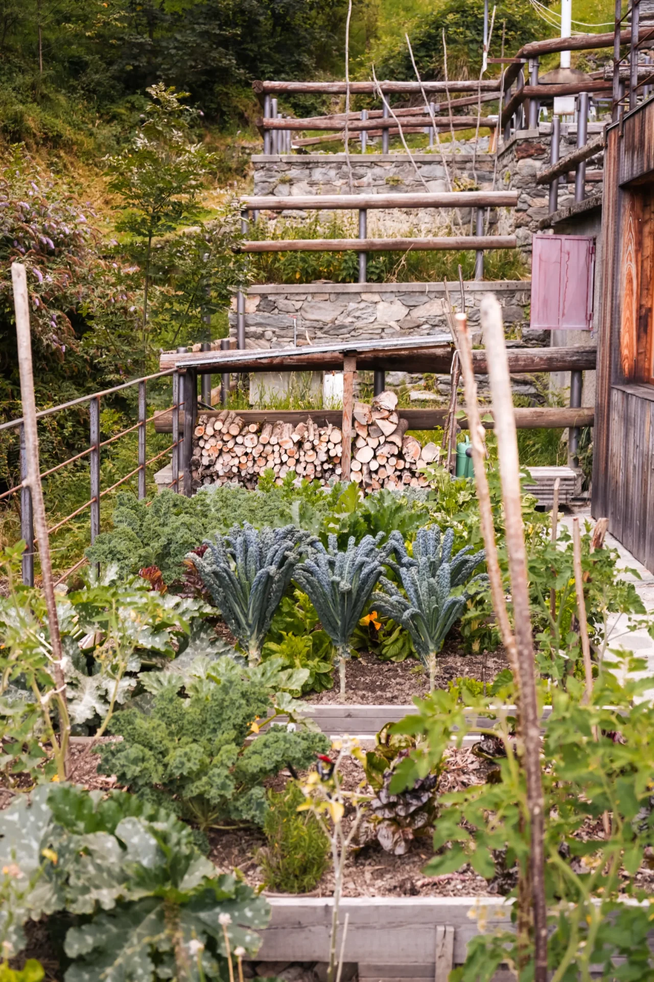 De moestuin van Rifugio Val di Togno met verschillende soorten groenten en opgestapeld brandhout tegen een stenen muur