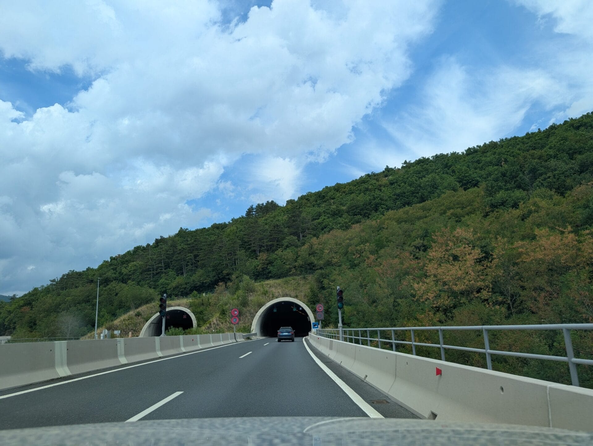 Uitzicht vanuit de auto op een snelweg die naar twee tunnels door een beboste bergwand leidt onder een bewolkte lucht