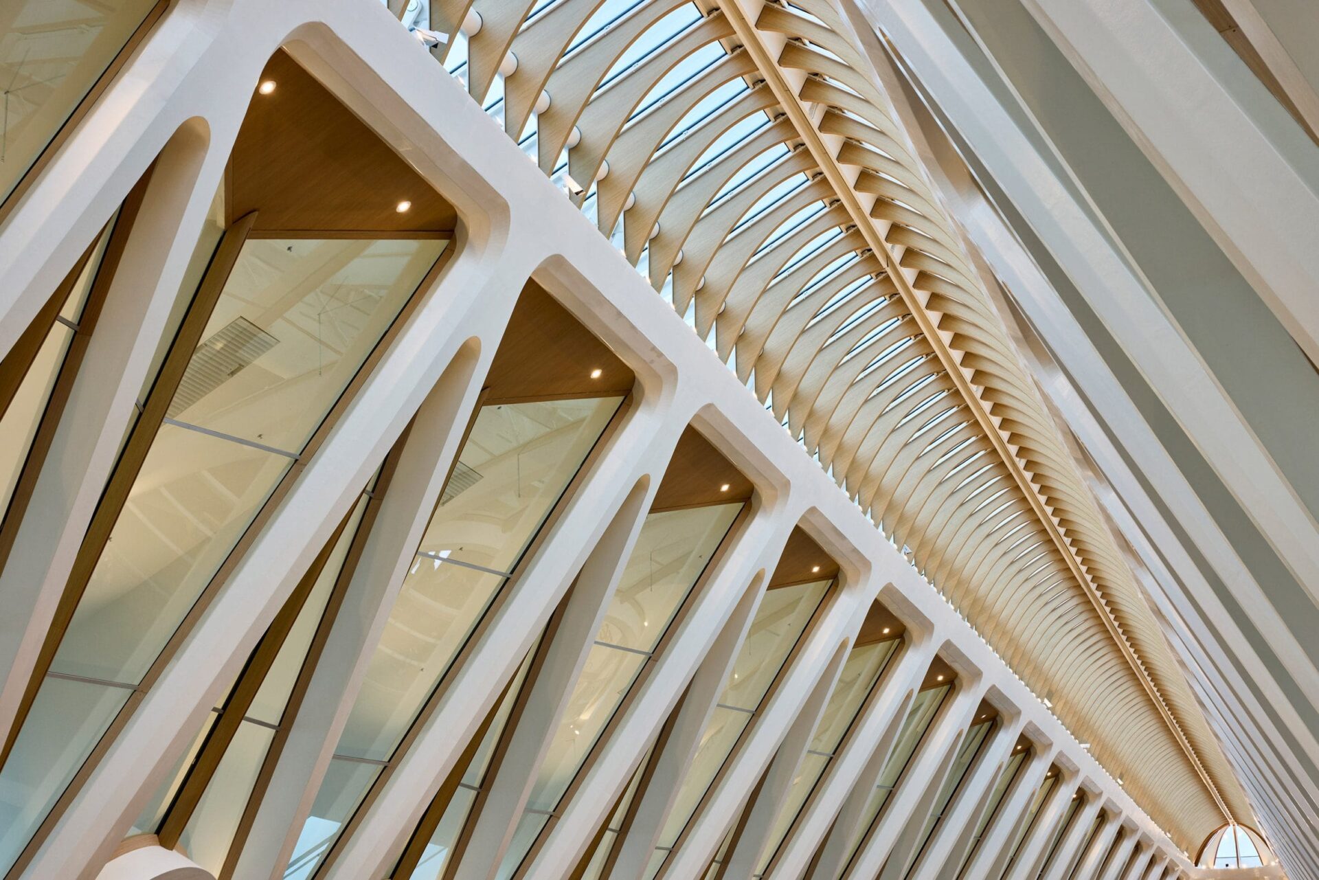 Bekijk het prachtige Gare de Mons van architect Santiago Calatrava 54 Gare de Mons