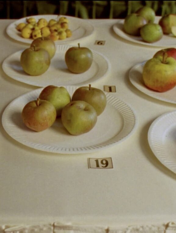 Some Interesting Apples