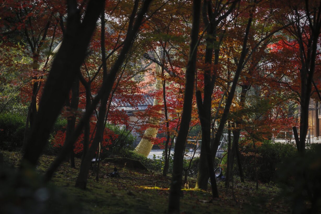 Magnus RINN at Chion in Temple – Photo by Ito Makoto 10 1