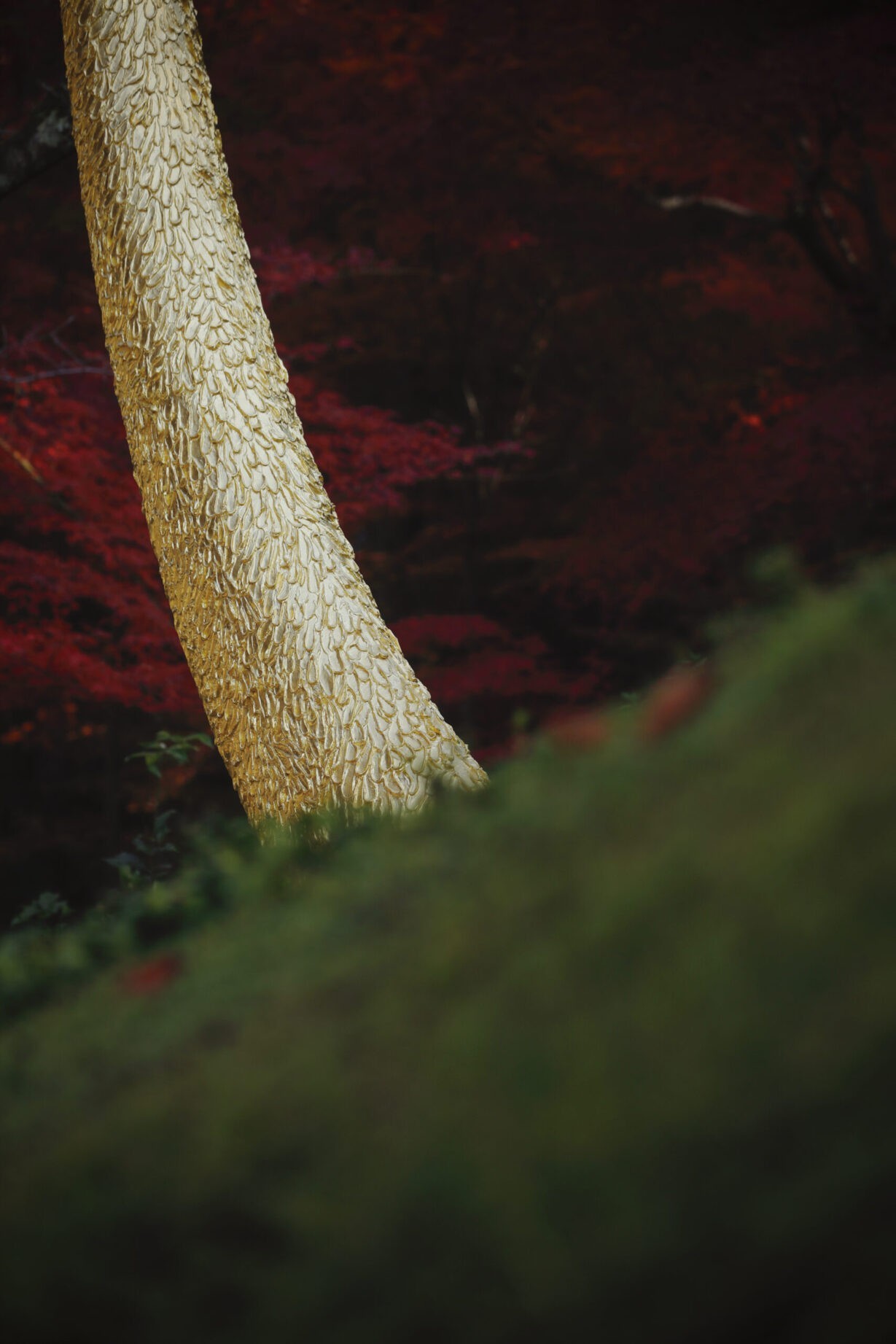 Joseph Walsh Studio - Magnus Rinn