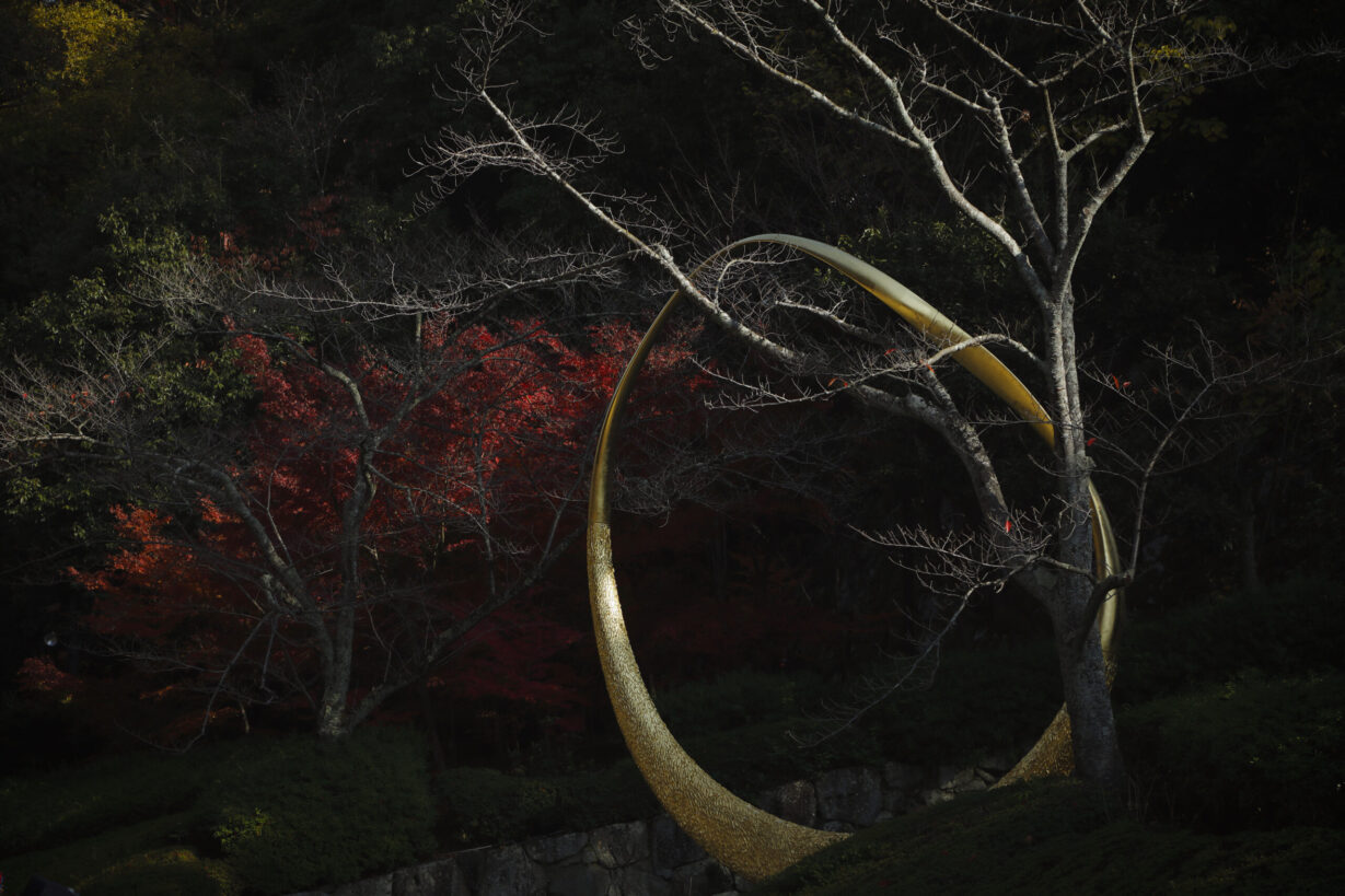 Joseph Walsh Studio - Magnus Rinn