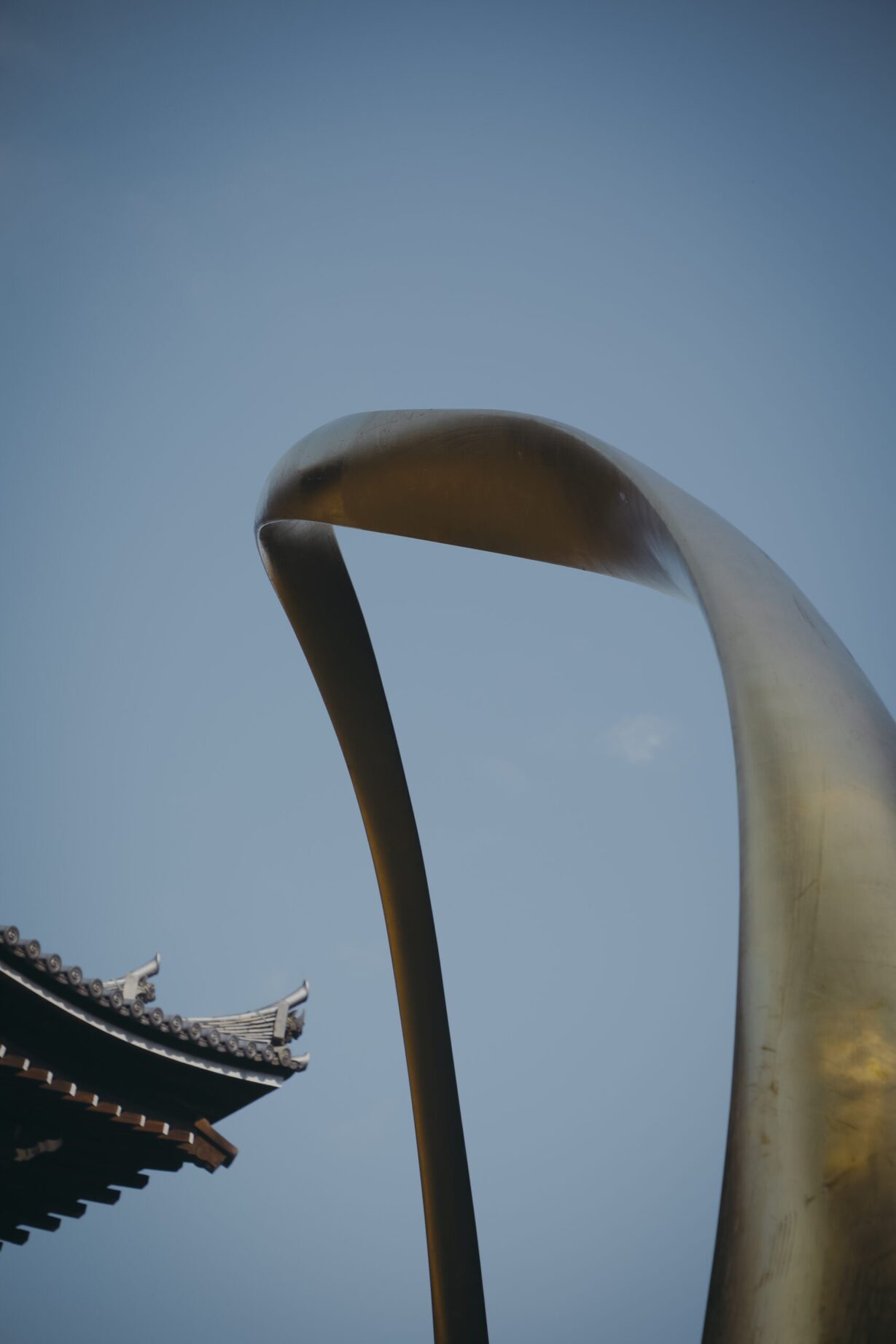 Magnus RINN at Chion in Temple – Photo by Ito Makoto 4 1