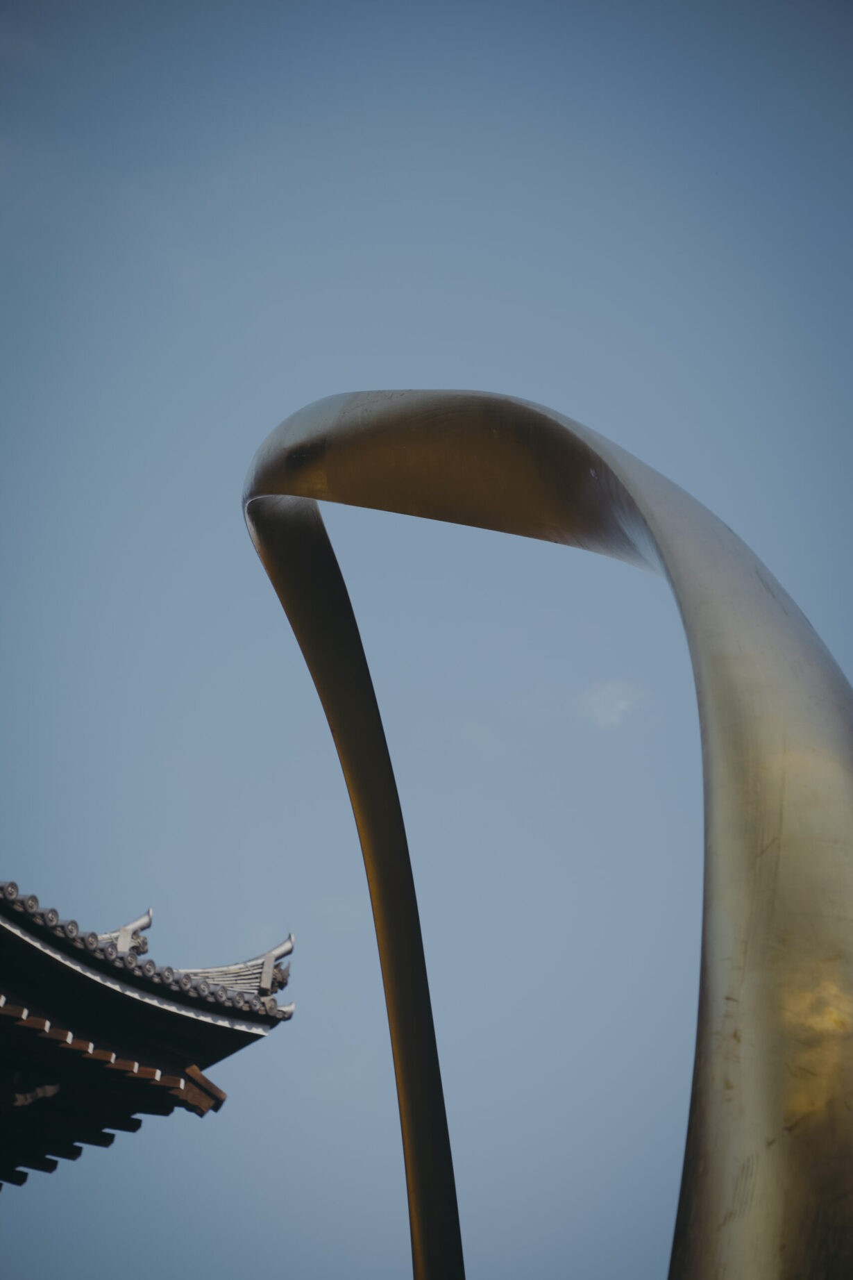 Joseph Walsh Studio - Magnus Rinn