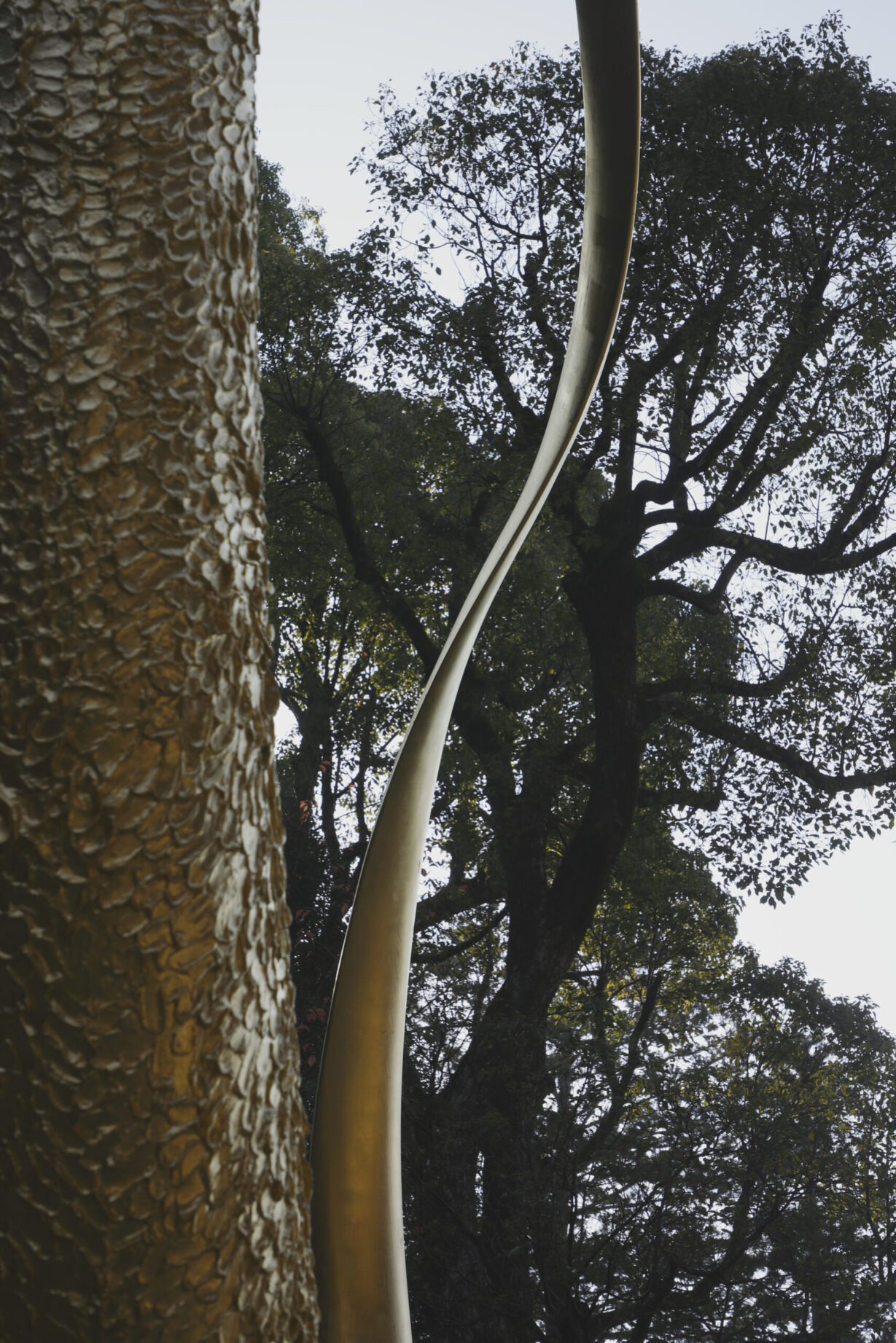 Joseph Walsh Studio - Magnus Rinn