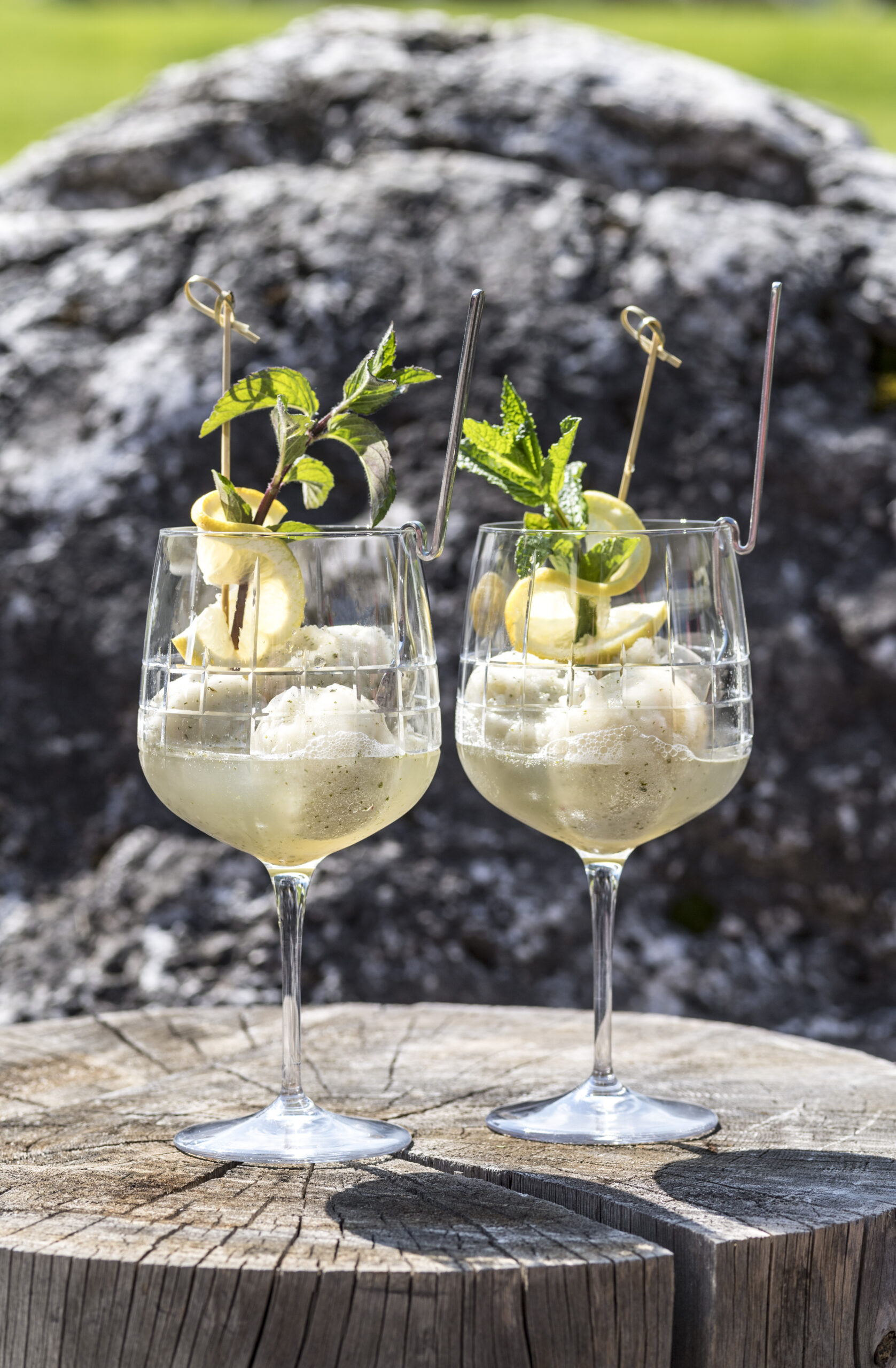 cyprianerhof_frozenhugo_©rierhelmuth Cyprianerhof