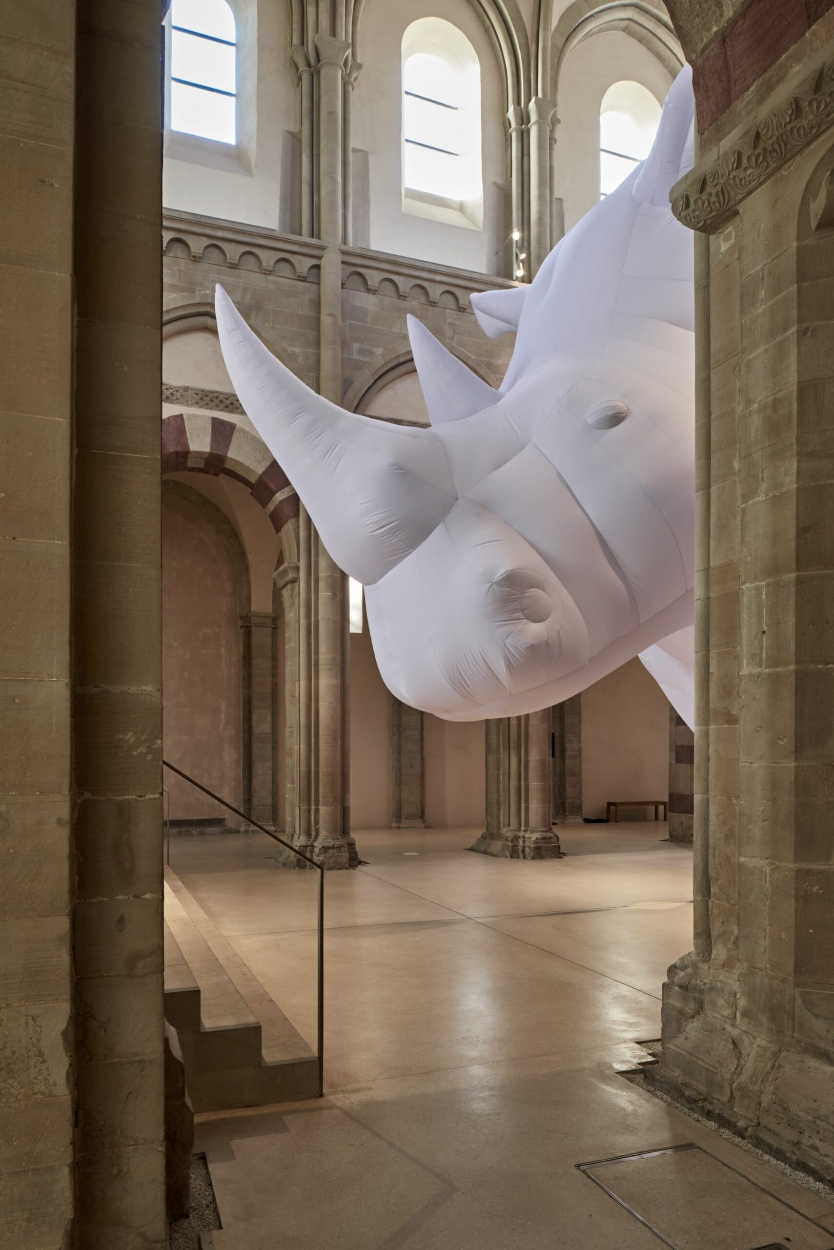 Itamar Gov - The Rhinoceros in the Room