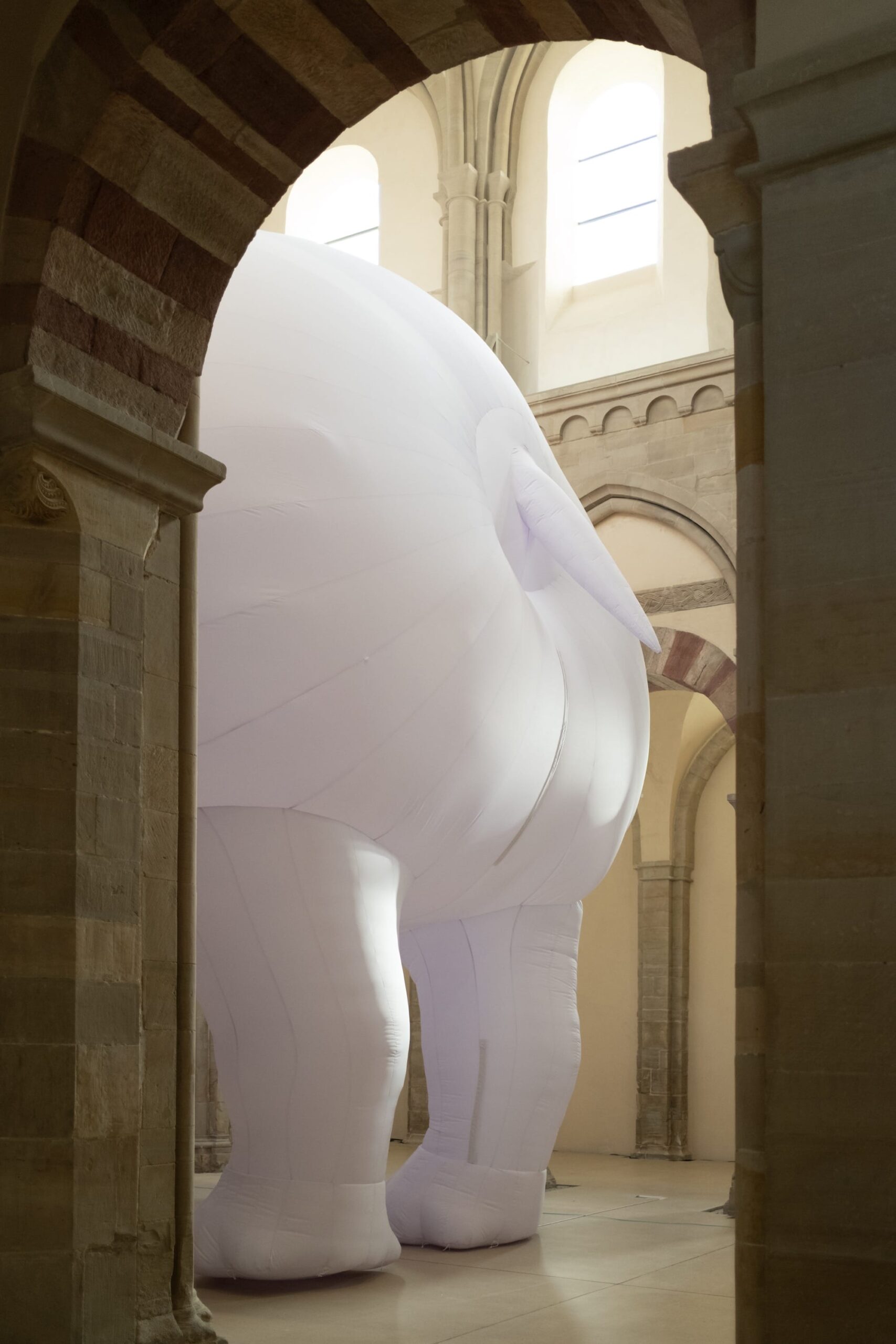 Itamar Gov - The Rhinoceros in the Room