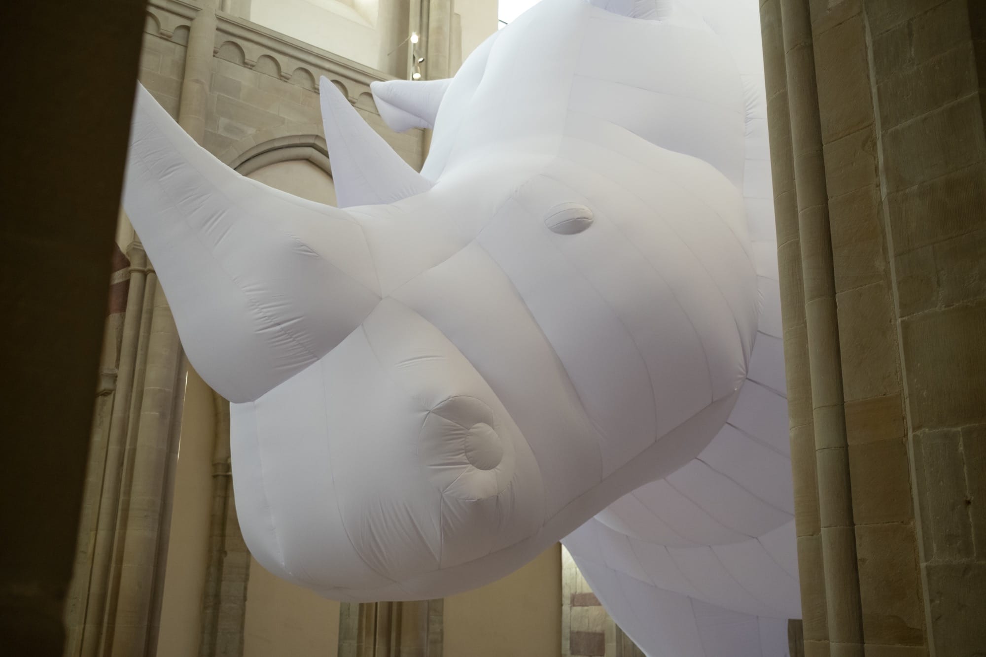 Itamar Gov - The Rhinoceros in the Room