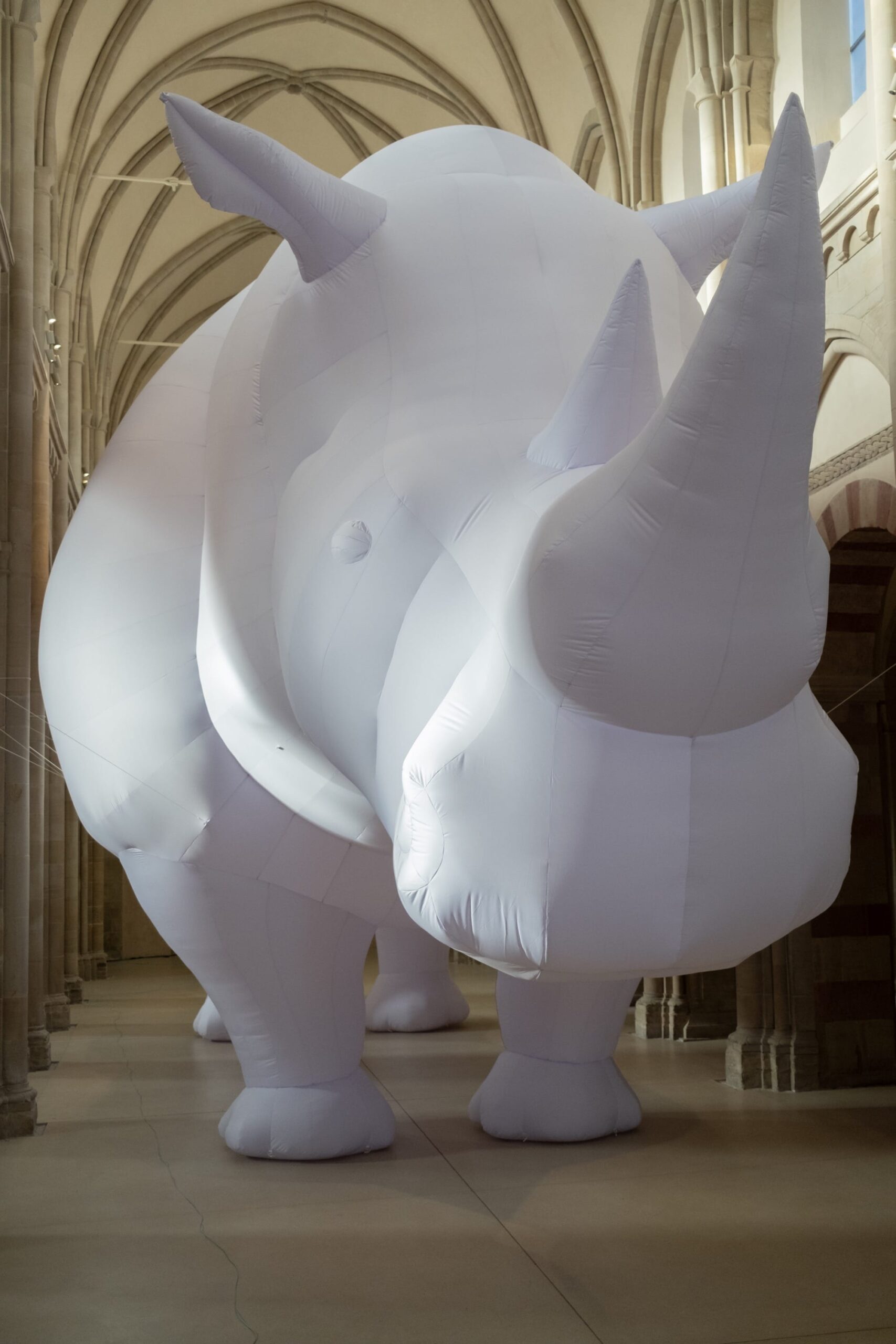 Itamar Gov - The Rhinoceros in the Room