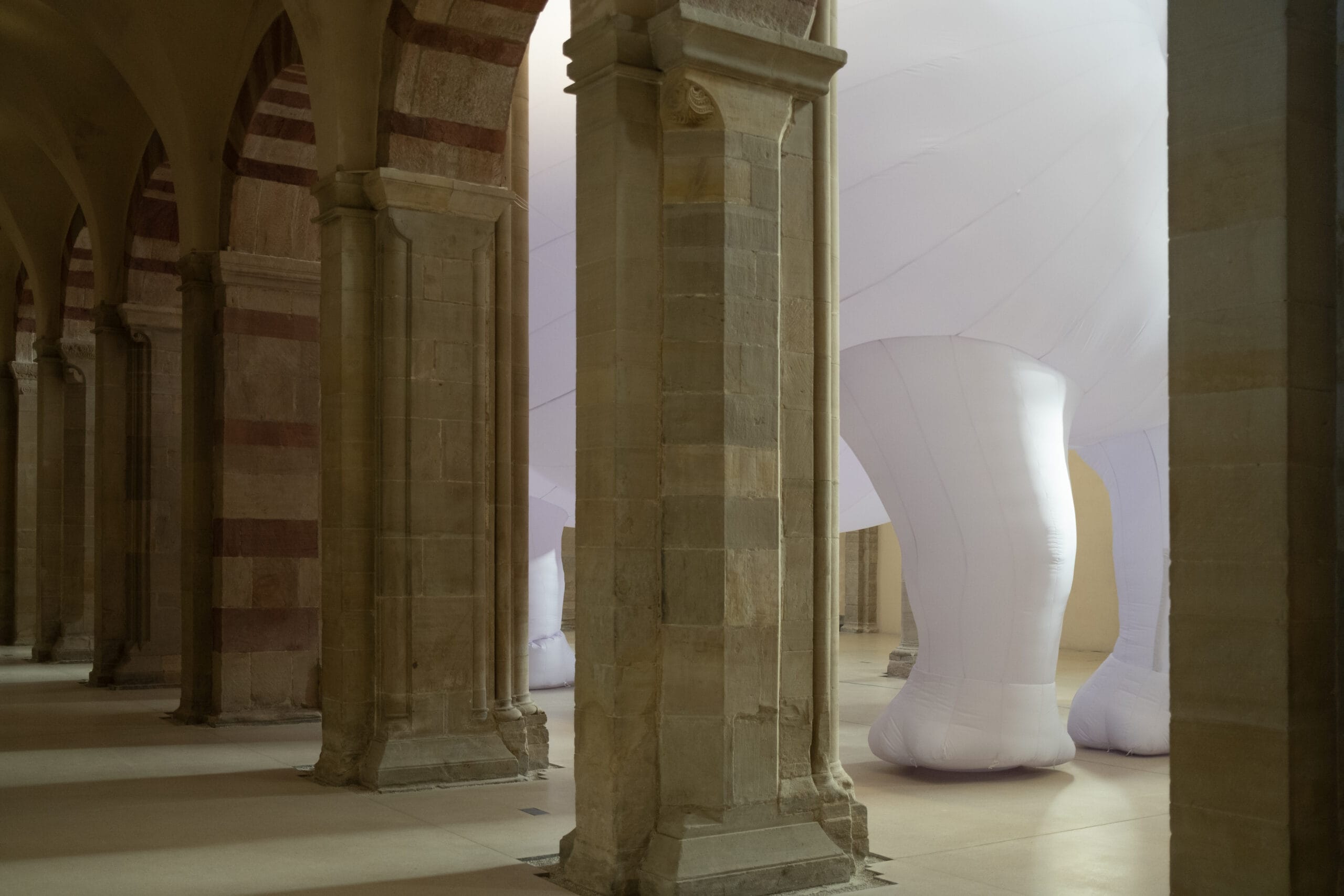 Itamar Gov - The Rhinoceros in the Room