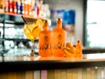 Orange Gin 1689