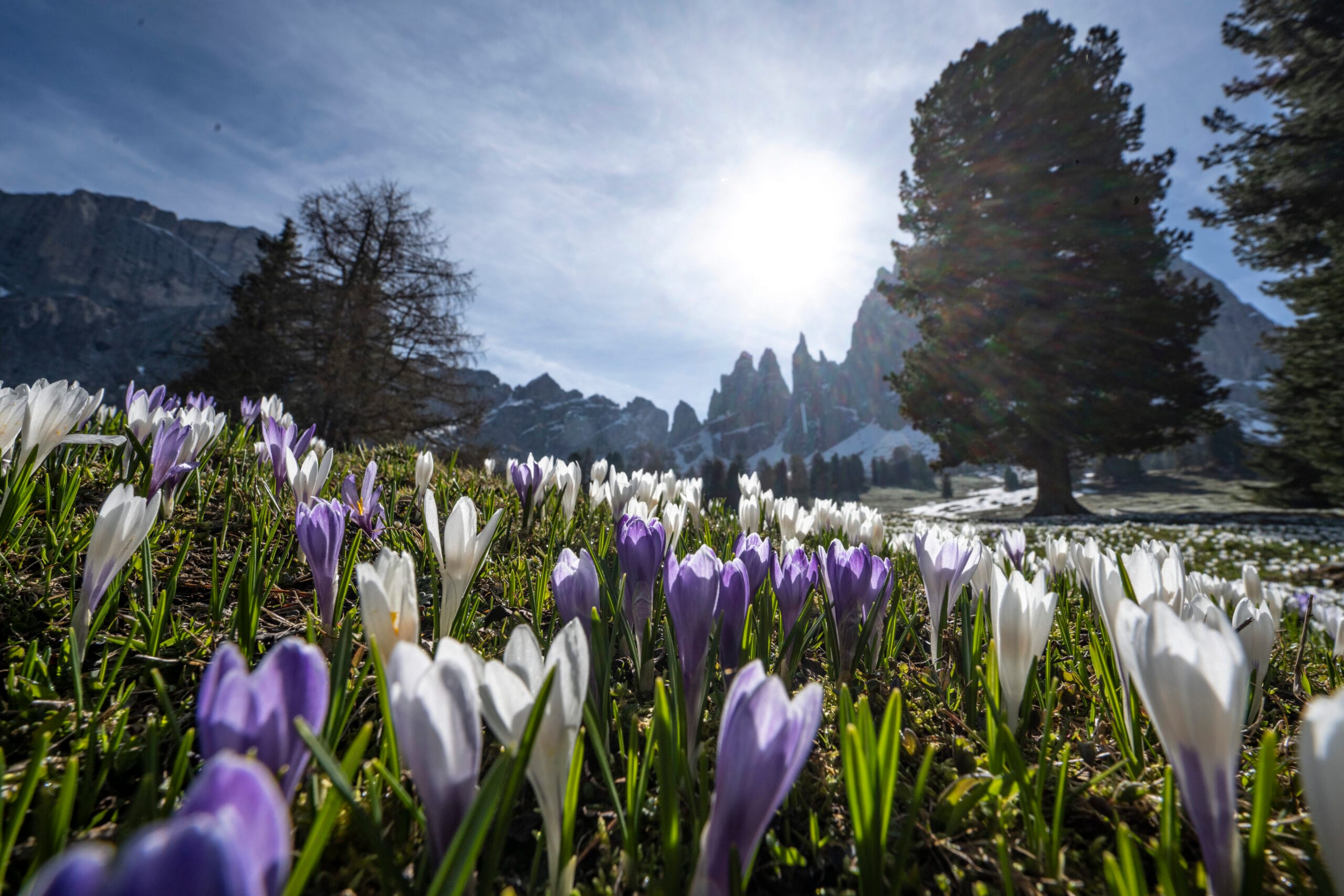 Cyprianerhof Dolomieten