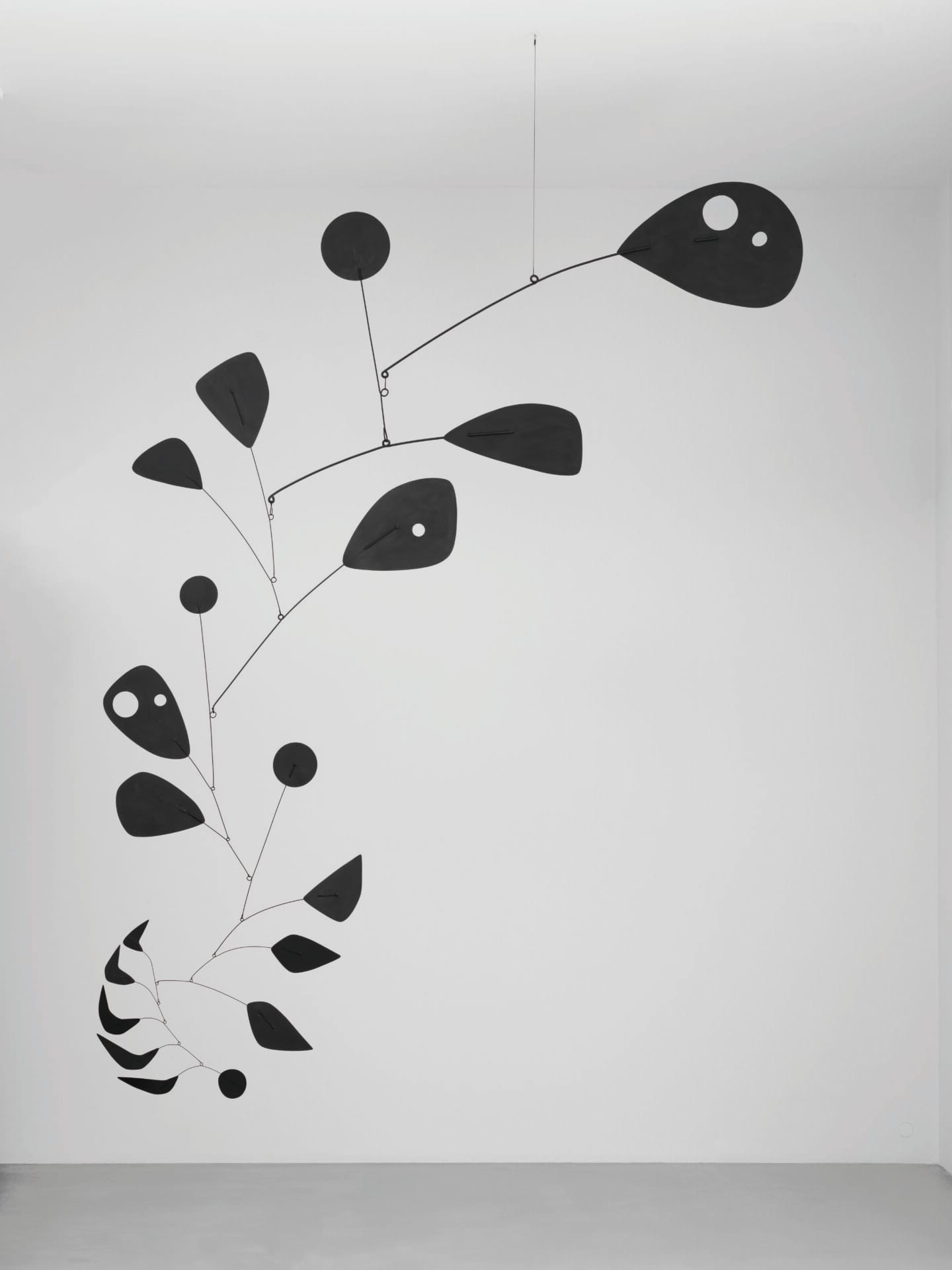 Alexander Calder, Black Widow, 1948