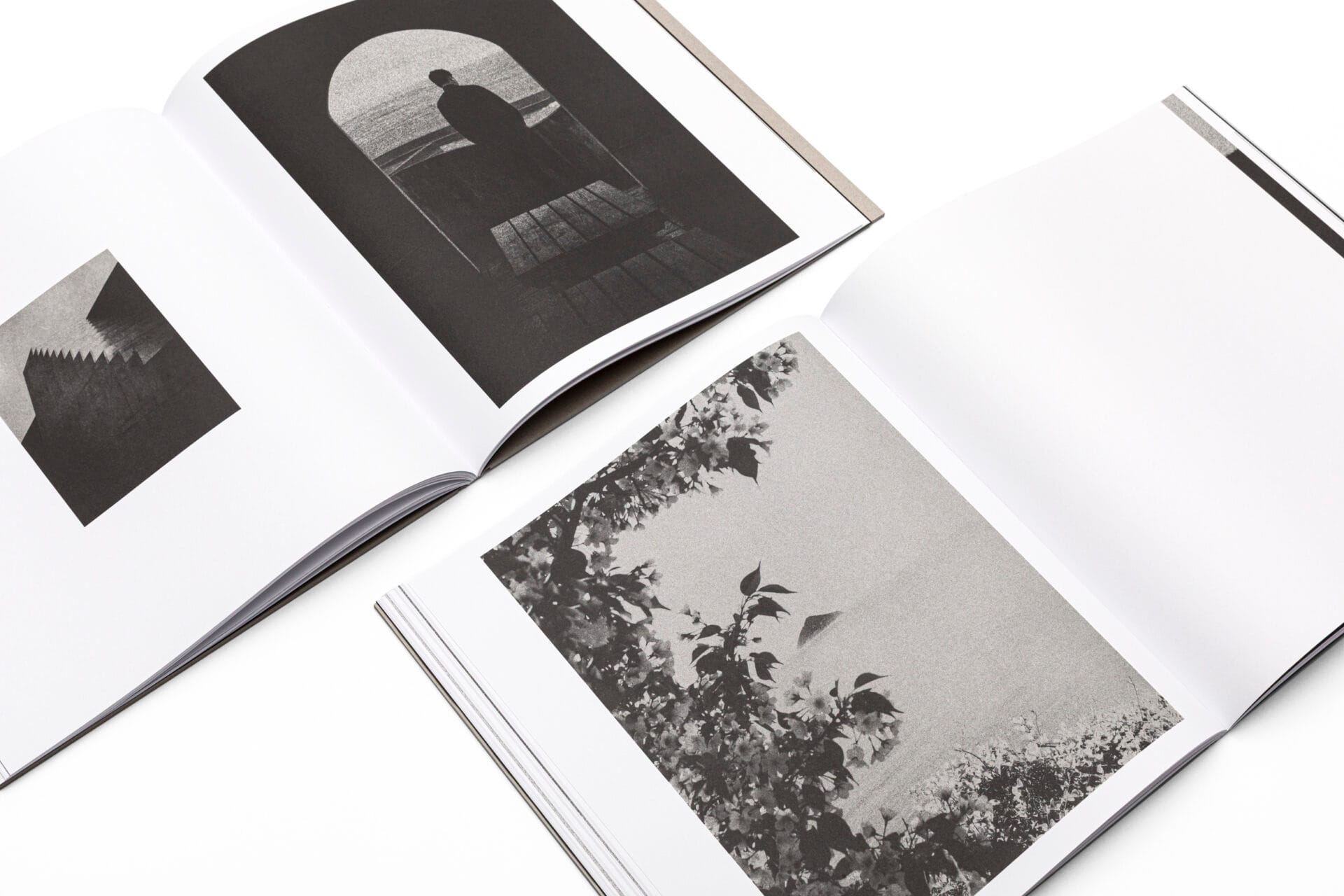Opengevouwen pagina's van het fotoboek HENRO met monochrome beelden van een silhouet in een boog en kersenbloesem