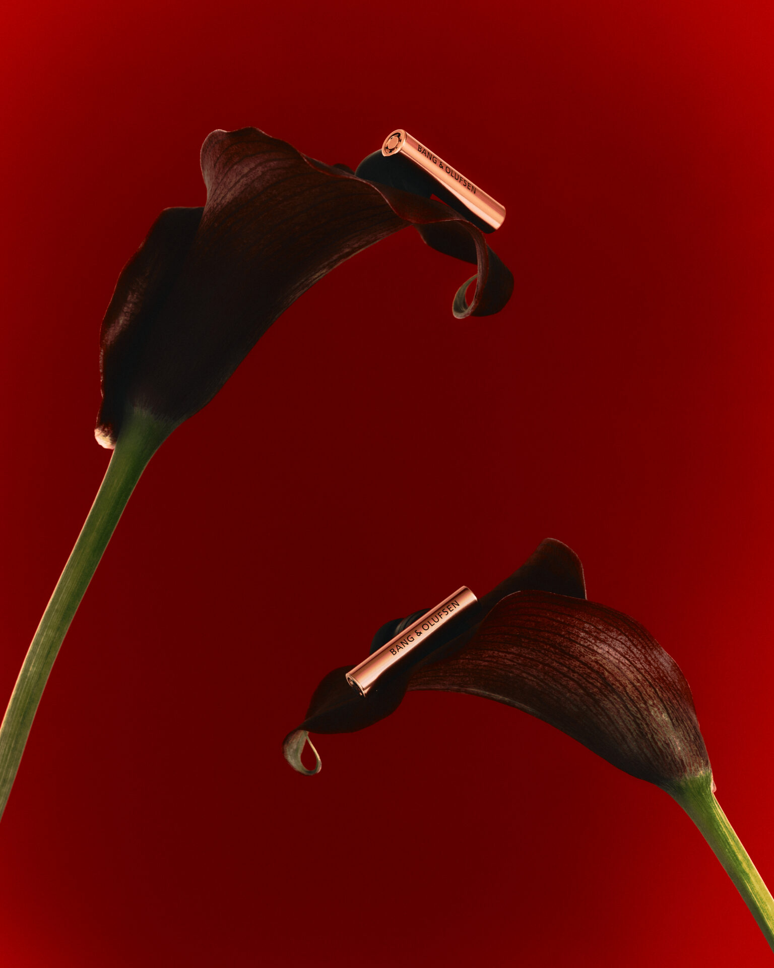 Bang & Olufsen Beo Grace