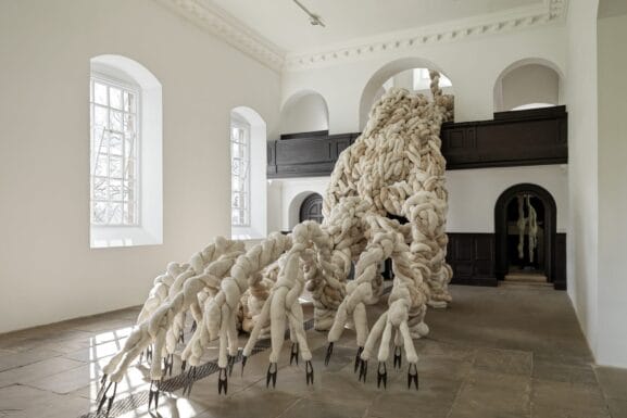 Nicola Turner in YSP