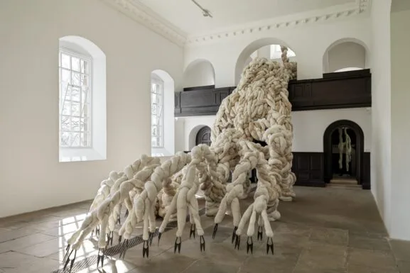 Nicola Turner in YSP