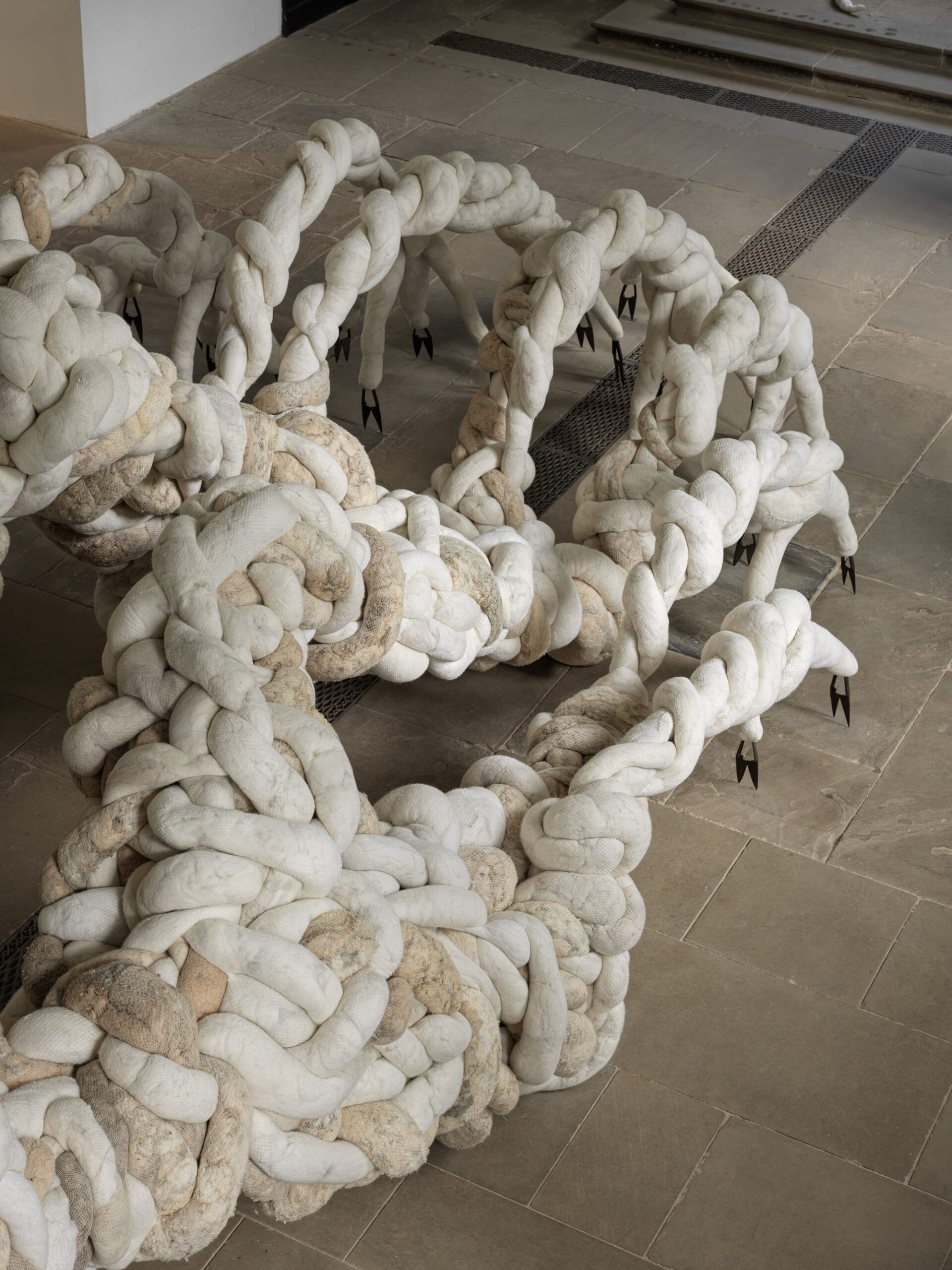 Nicola Turner in YSP