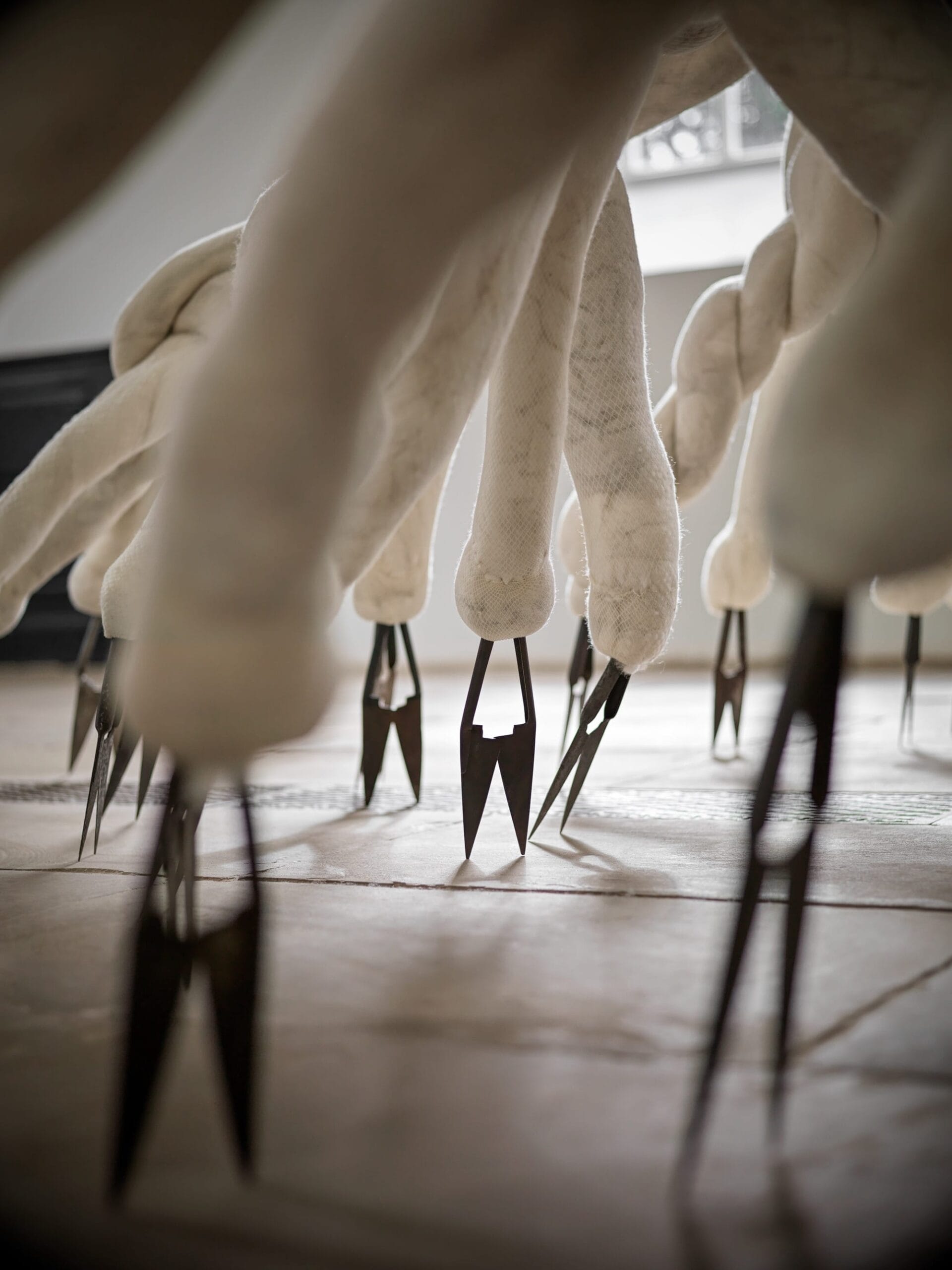 Nicola Turner in YSP