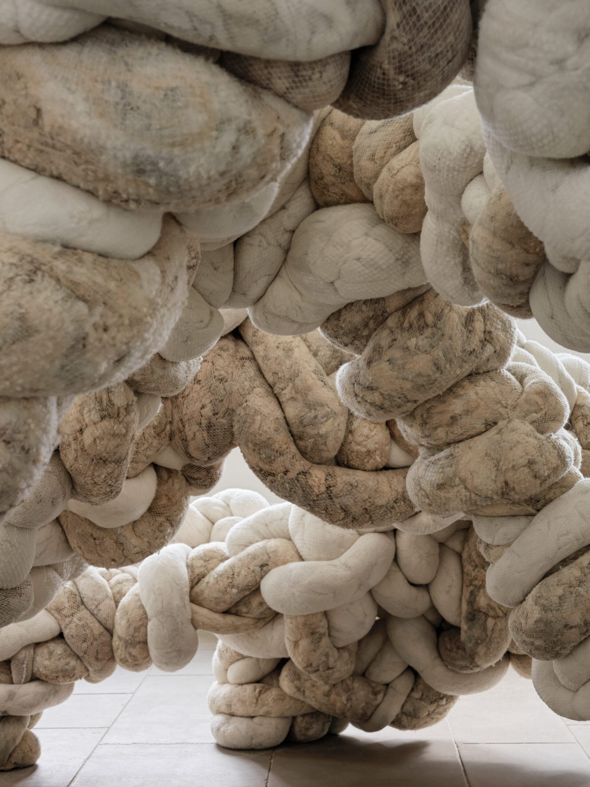 Nicola Turner in YSP