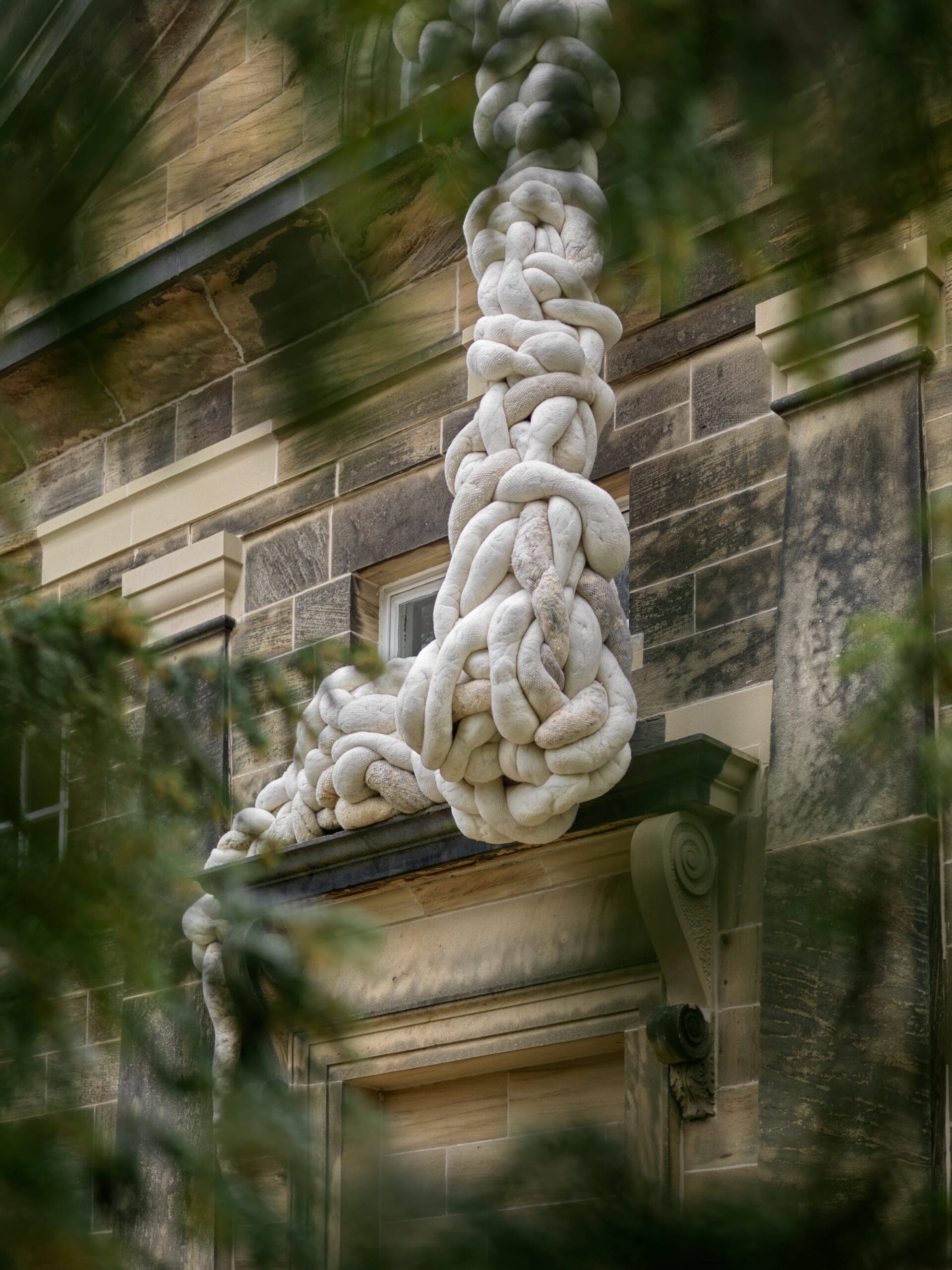 Nicola Turner in YSP