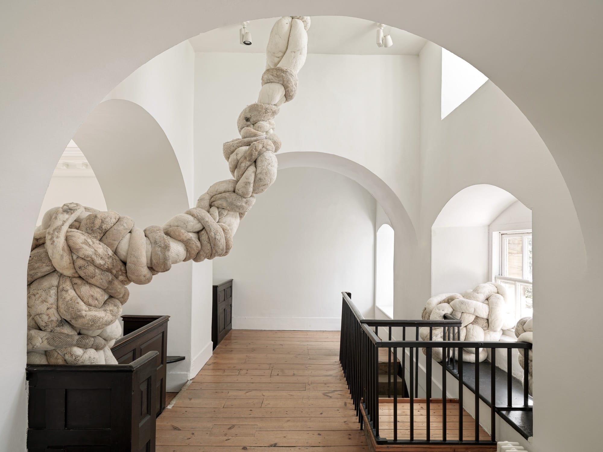 Nicola Turner in YSP