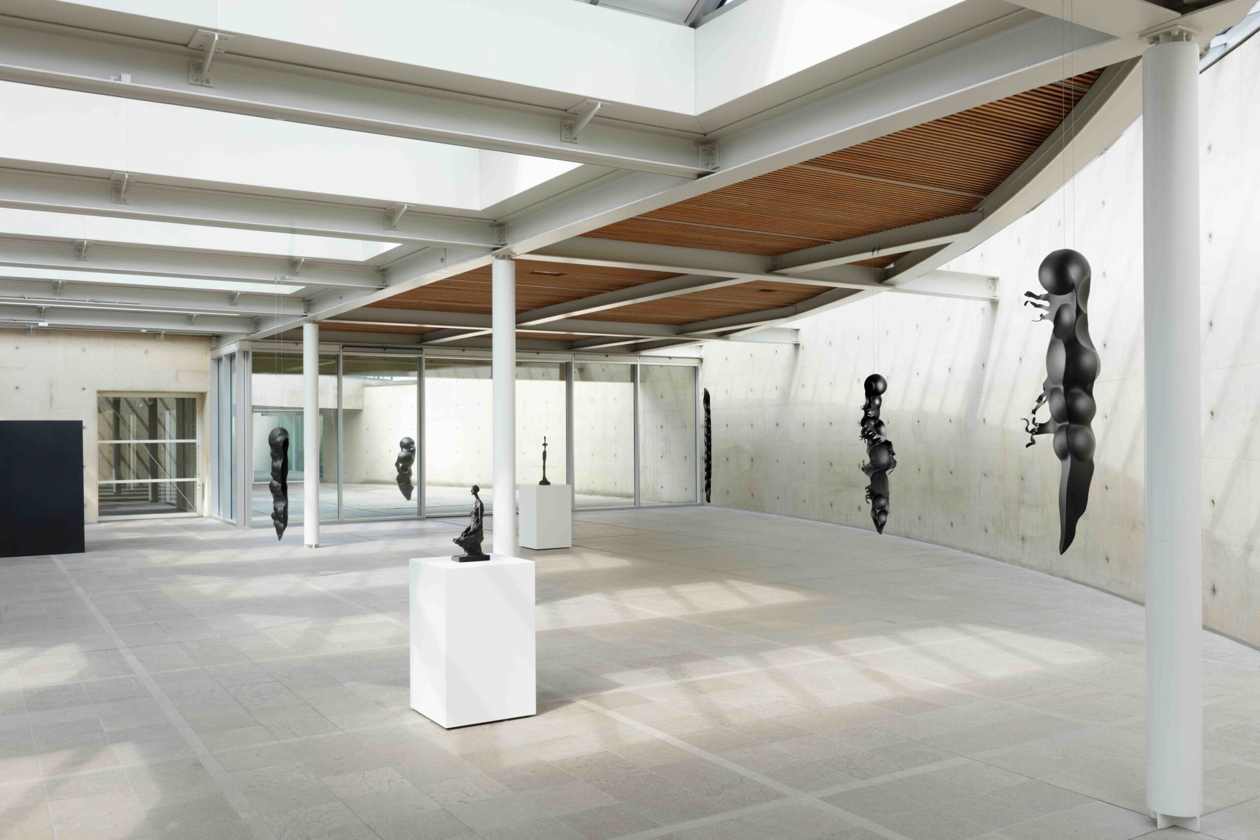 Moderne, lichte zaal van Museum Beelden aan Zee met abstracte zwarte sculpturen op sokkels en hangend aan de wanden onder een glazen dak uit de tentoonstelling Rui Chafes X Alberto Giacometti. Gris Vide Cris III