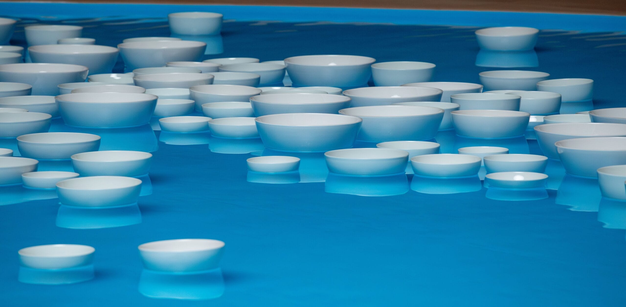 Tientallen witte porseleinen kommen van verschillende formaten drijven in een helderblauw waterbassin