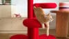 Een rode cyperse kat die over een felrode krabpaal klimt in een modern interieur