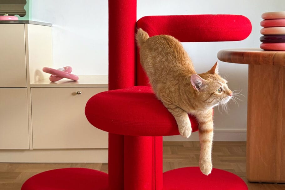 Een rode cyperse kat die over een felrode krabpaal klimt in een modern interieur
