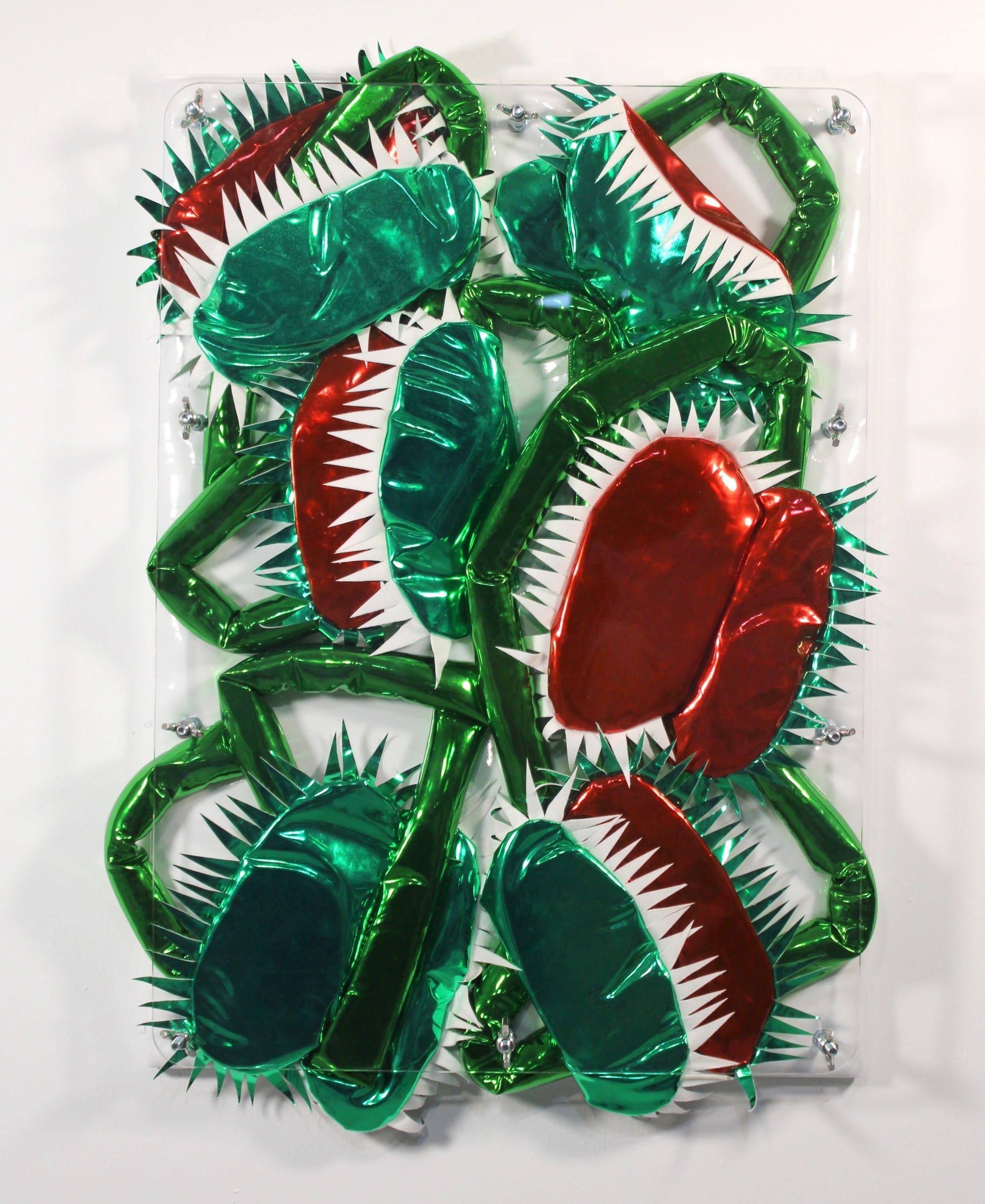 Wandsculptuur van glanzende groene en rode opblaasbare venusvliegenvangers met witte tanden achter een plexiglas plaat