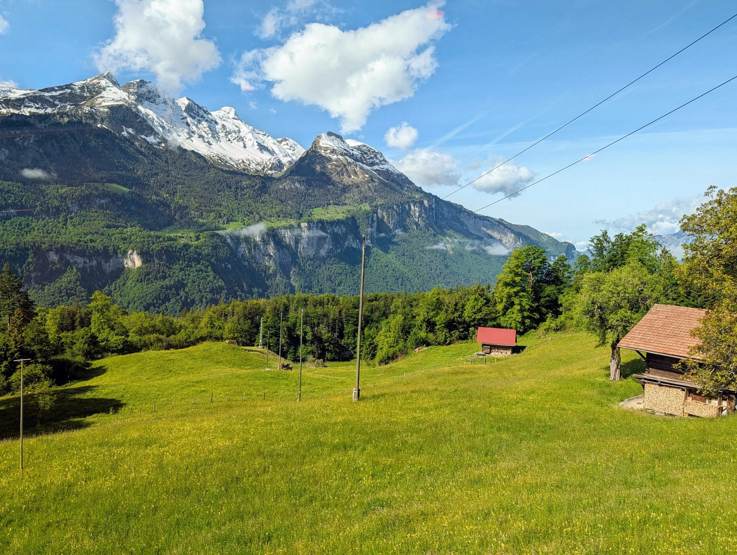 Groene alpenweide met houten schuren tegen een achtergrond van beboste bergen en besneeuwde bergtoppen