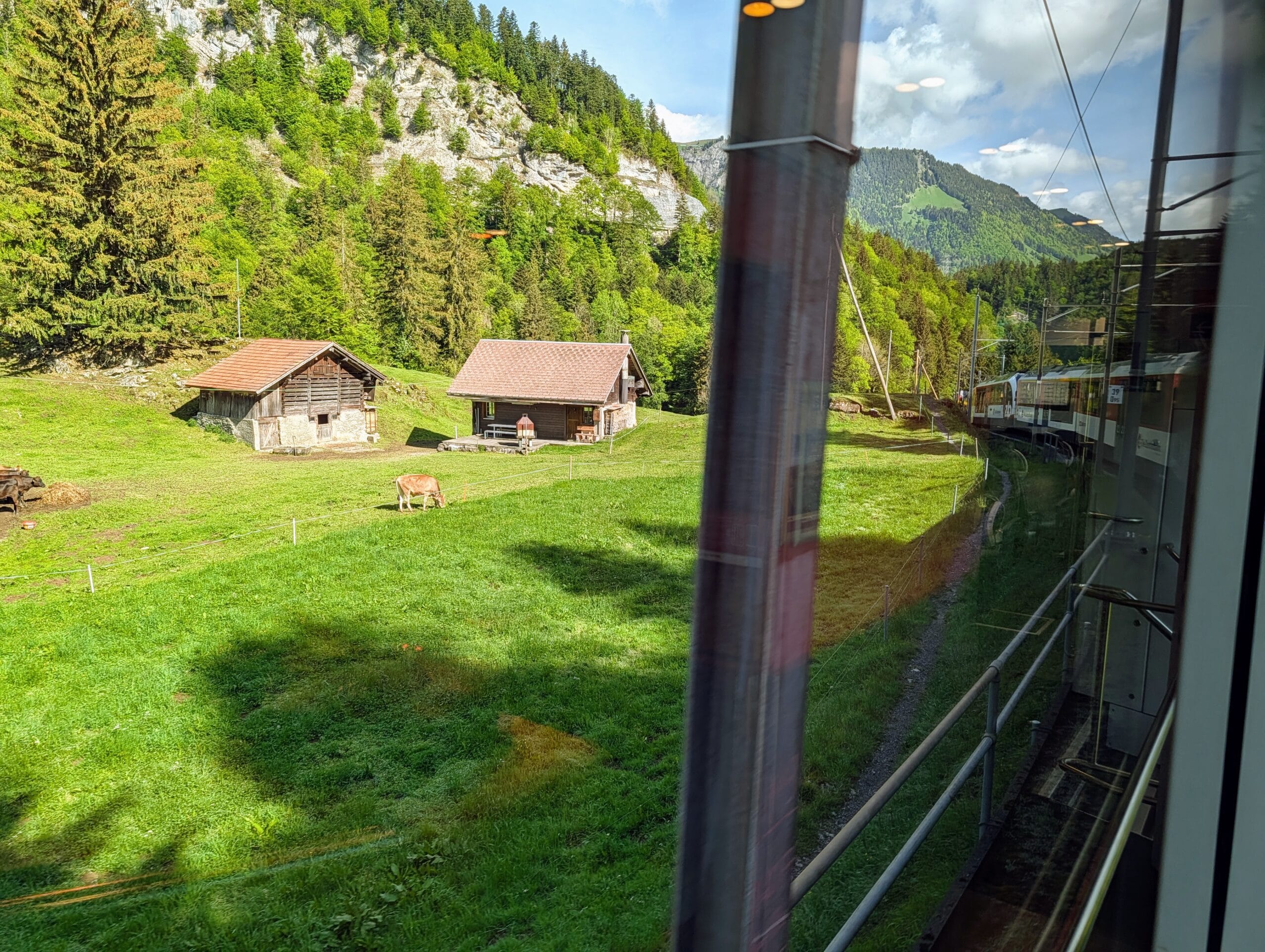 Uitzicht vanuit een trein op een grazende koe bij houten berghutten in een groen Alpenlandschap in Zwitserland