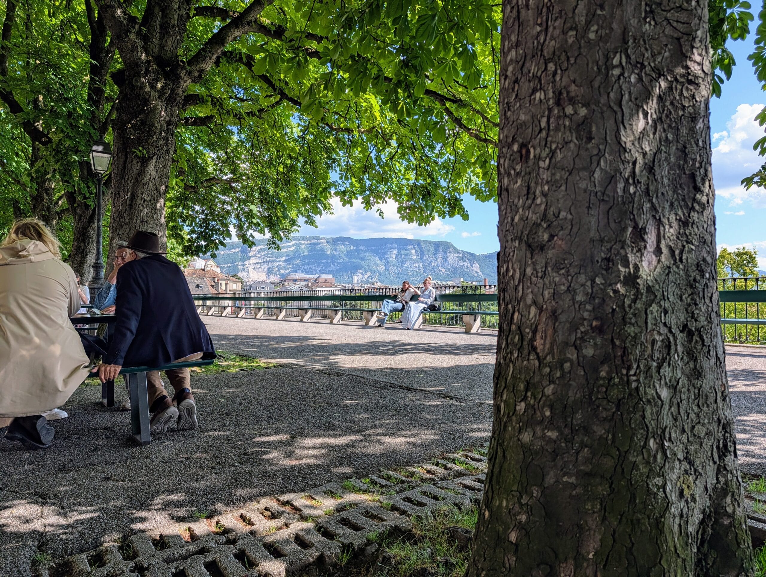 Mensen op een terras onder grote bomen met uitzicht op een stad en bergen in de verte