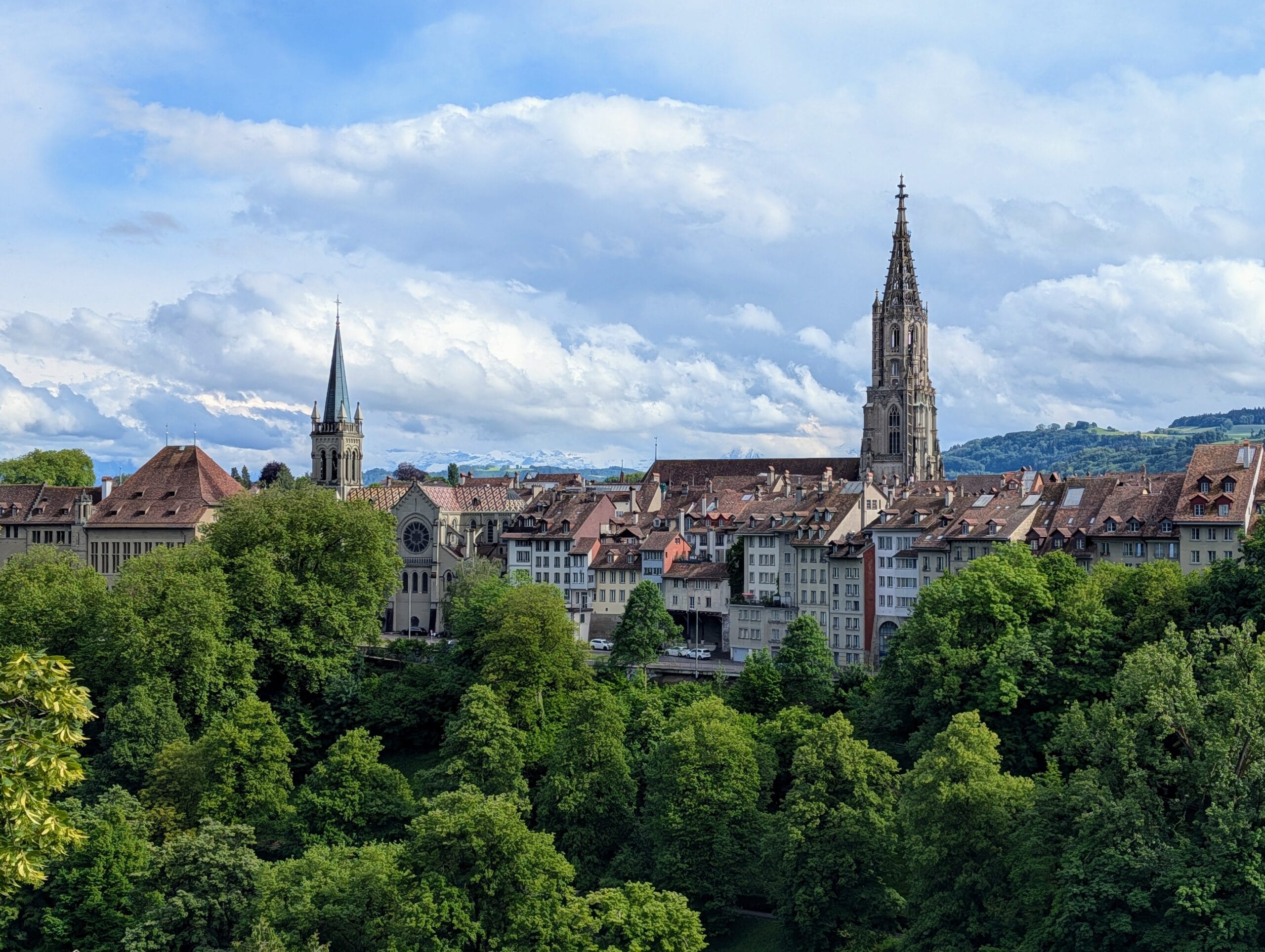 Uitzicht op de skyline van Bern met de Berner Münster en historische gebouwen boven een dichtbegroeid groen bos