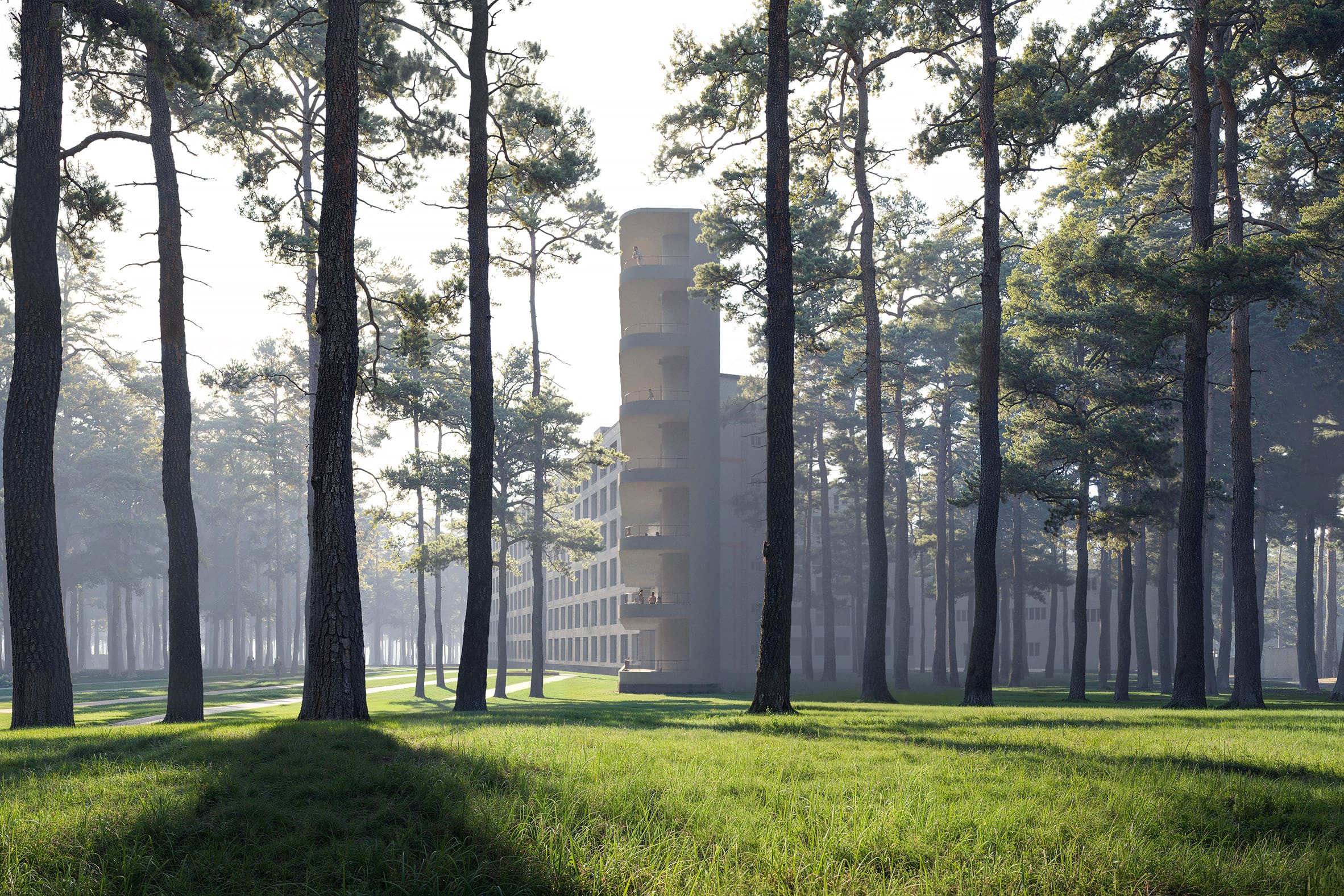 Modern gebouw met halfronde balkons tussen hoge dennenbomen in een zonnig bos